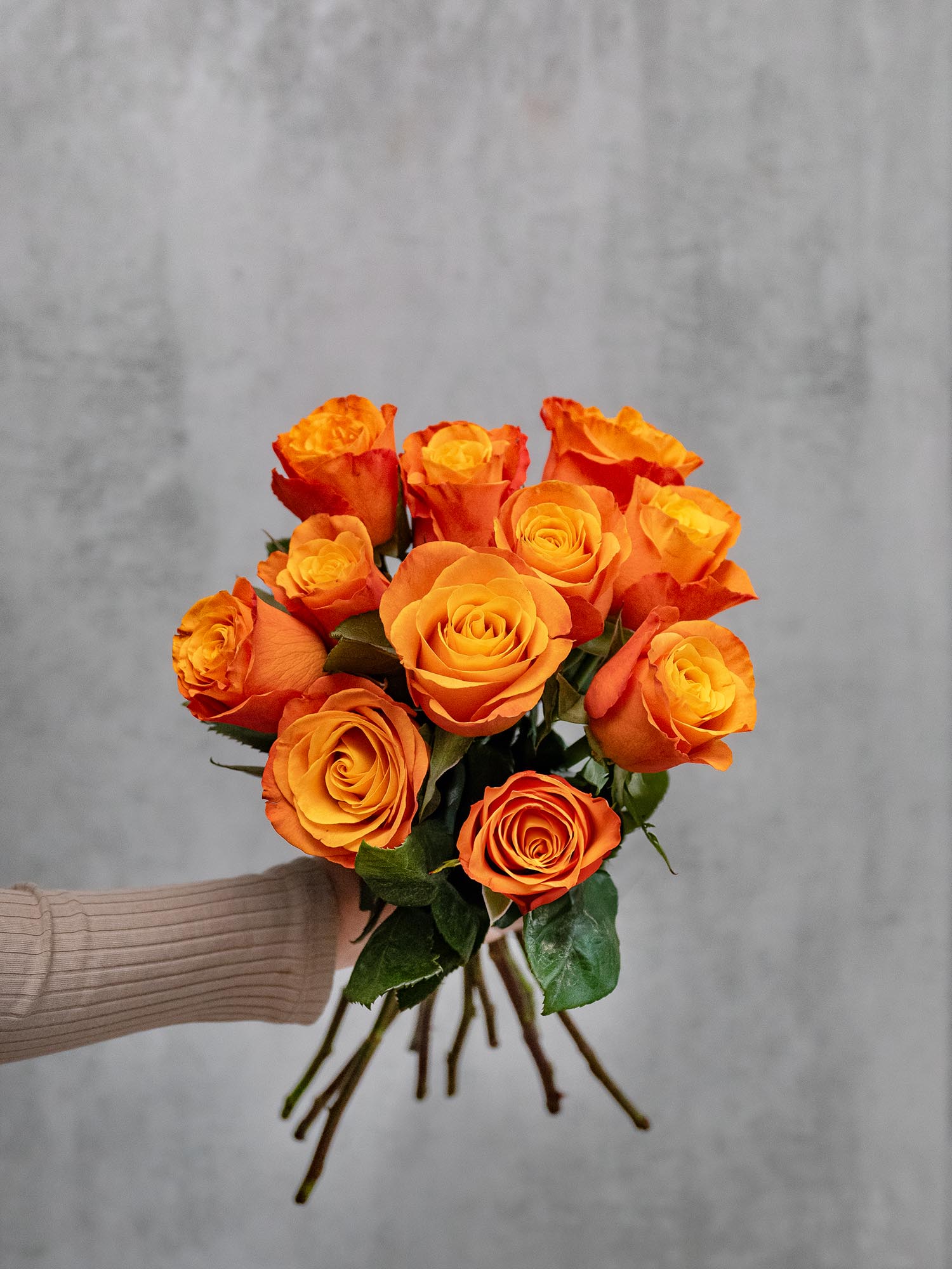 blumigo-rosen-confidental-schnittrosen-orange image 4