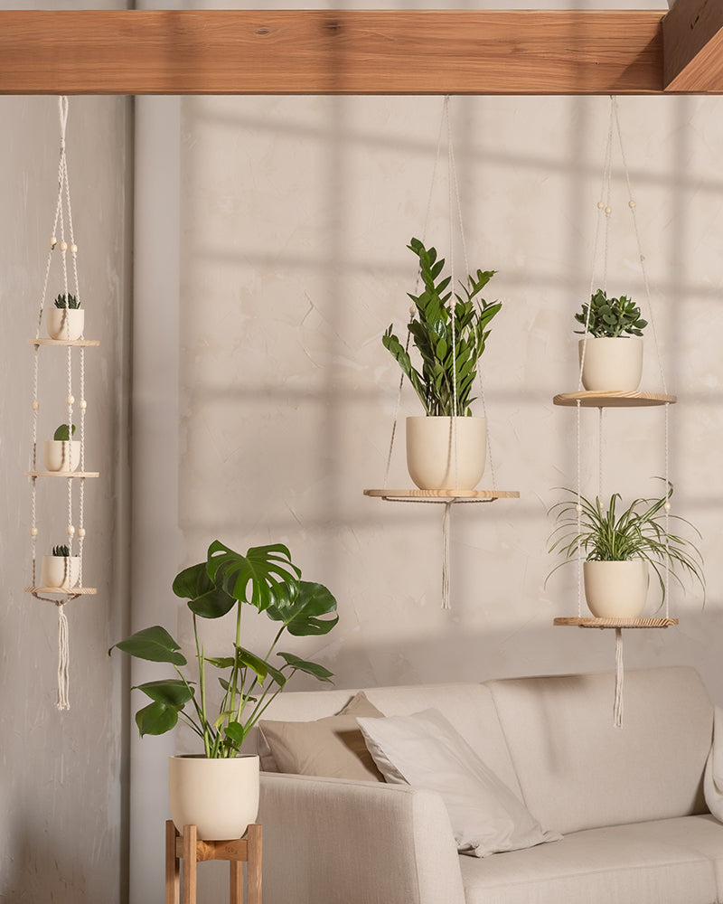 feey-variado-homeoffice-pflanzen-set-7-zimmerpflanzen image 8