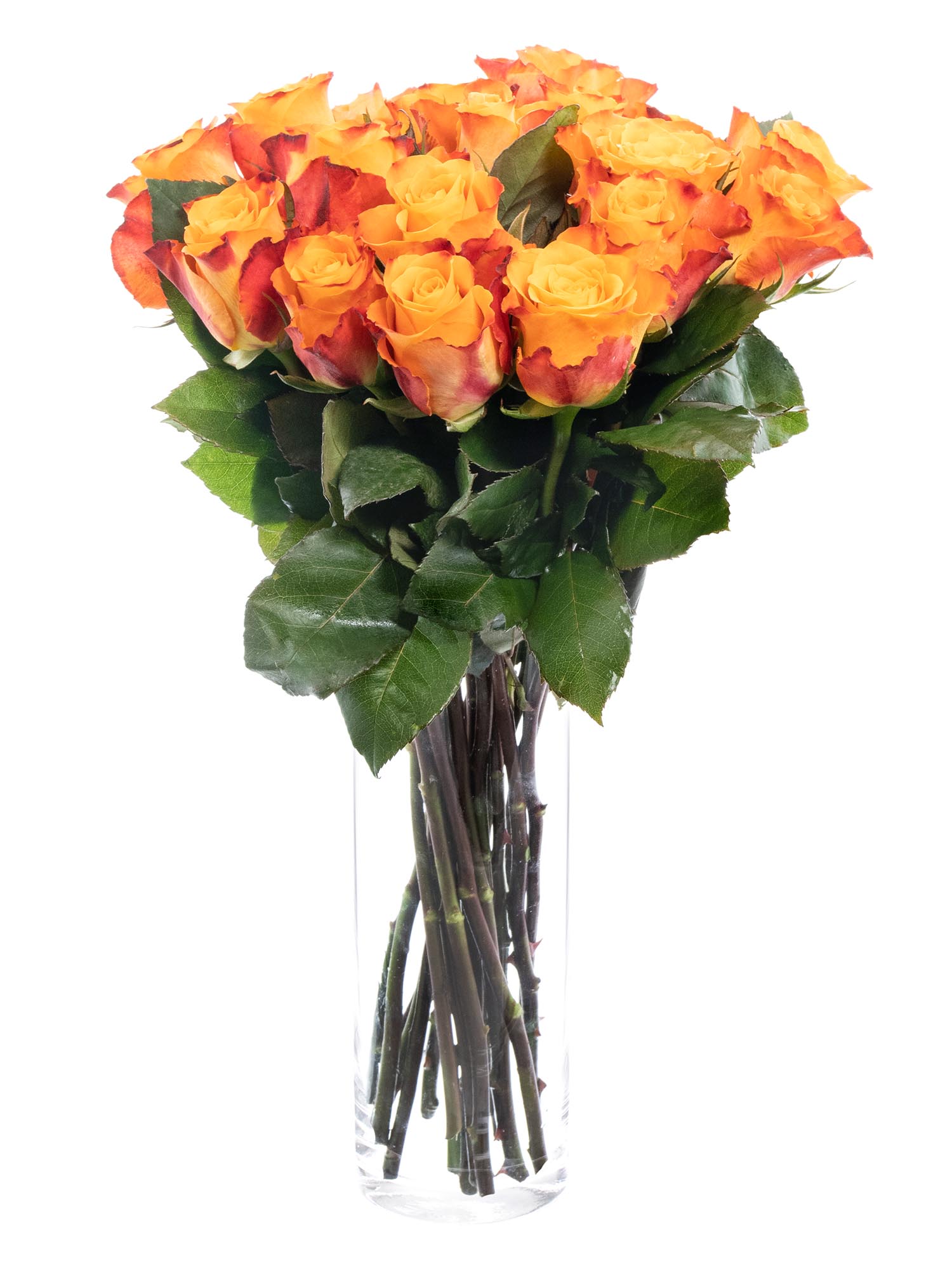blumigo-rosen-mariyo-rose-orange-gro-bl-tig image 2