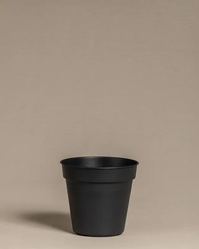 feey-amsterdam-innentopf-13-cm-kunststoff-mit-abtropfl-chern image 1