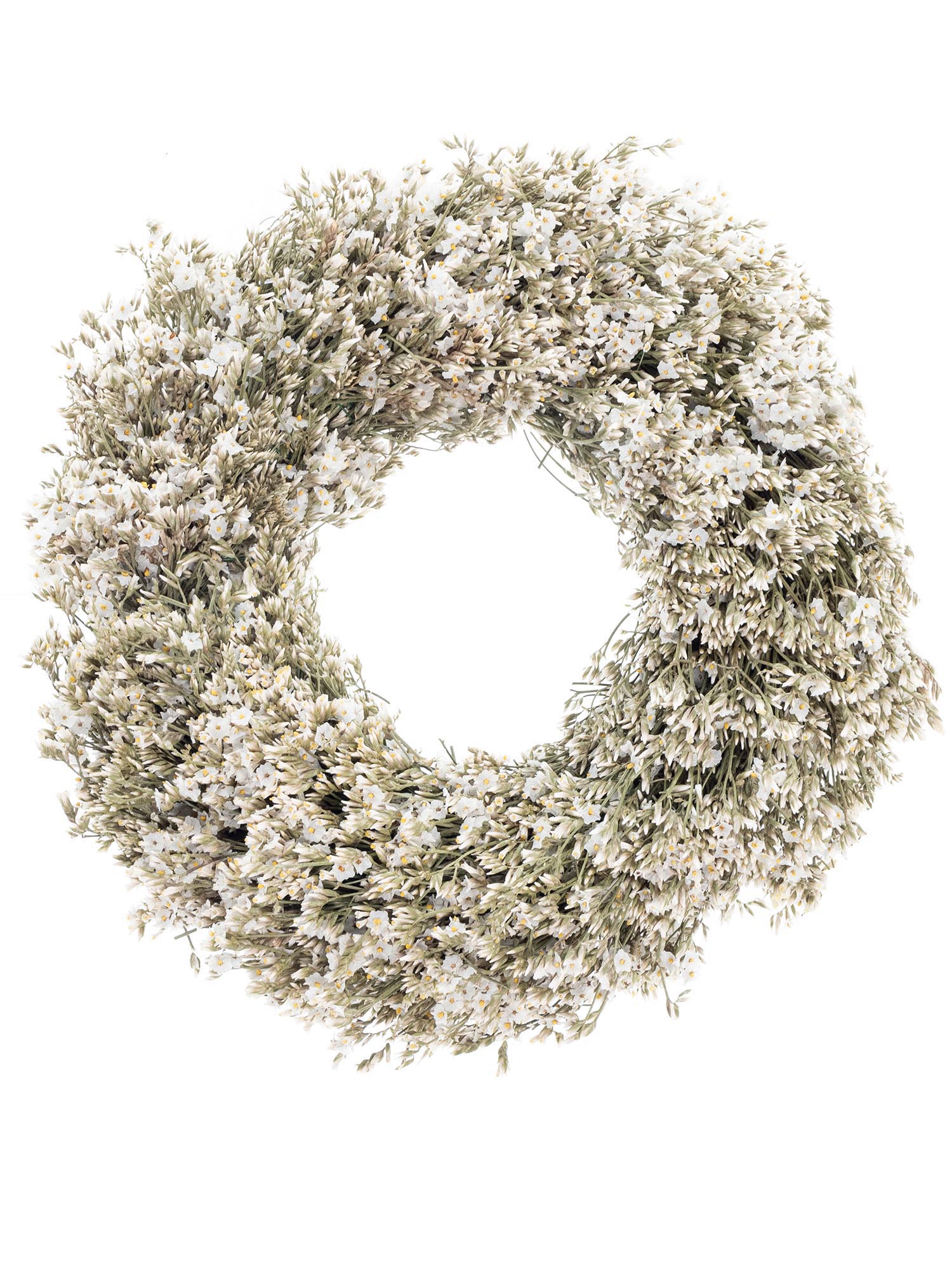 blumigo-zierkranz-strandflieder-trockenkranz-wei-getrocknet image 2
