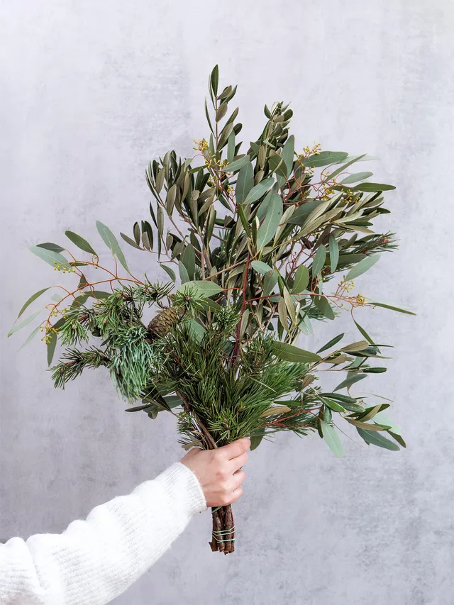 blumigo-eukalyptus-pinus-mugo-greenery-mix-bund image 1