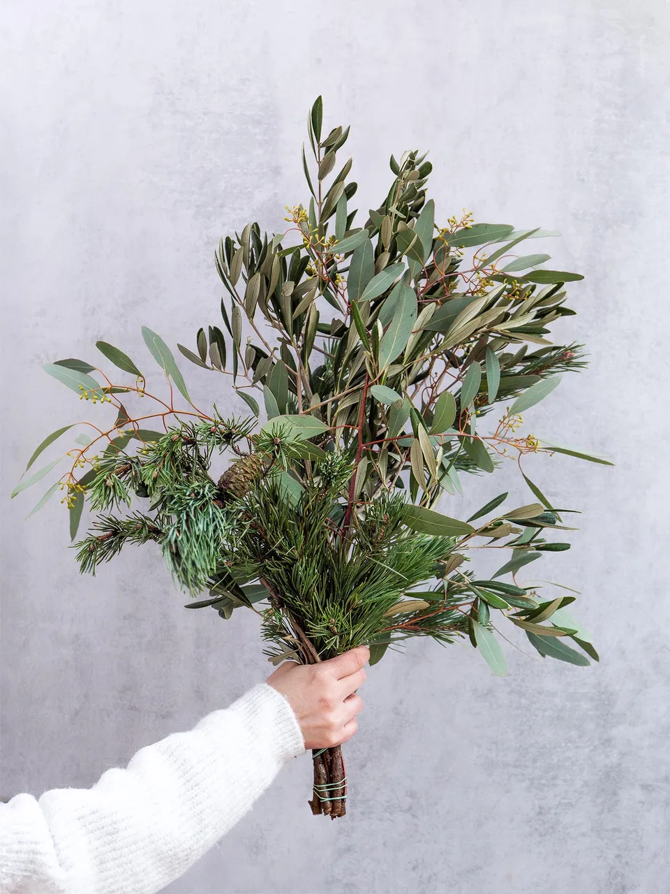 blumigo-eukalyptus-pinus-mugo-greenery-mix-bund image 1