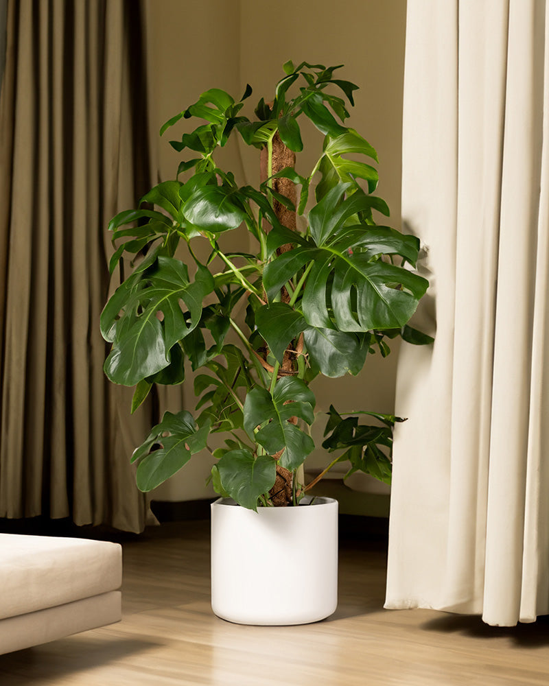 feey-lumi-blumentopf-kunststoff-wei-30-cm image 6