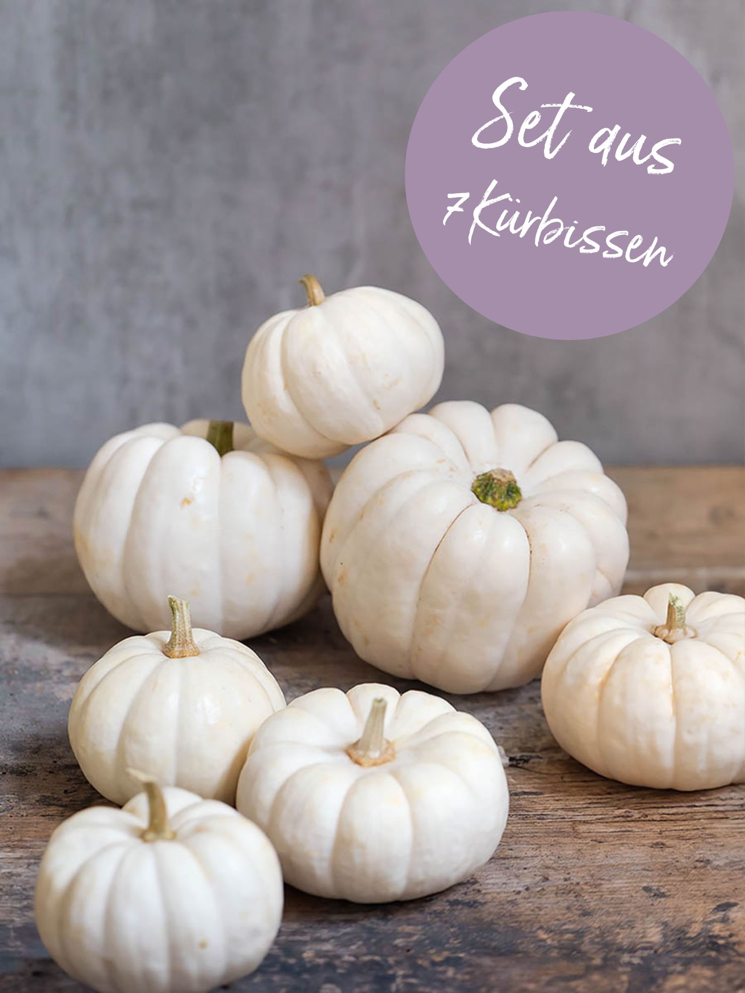 blumigo-herbstdeko-baby-boo-zierk-rbis-set-weiss image 1