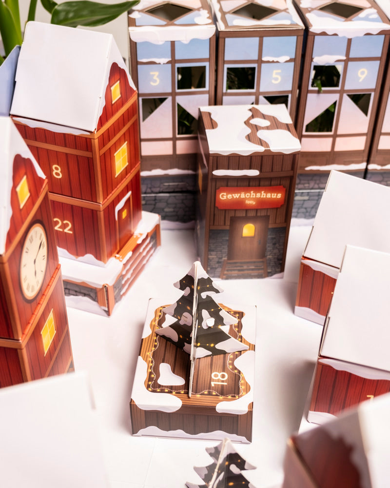 feey-variado-pflanzen-adventskalender-winterdorf-im-morgenrot-24-t-rchen image 7