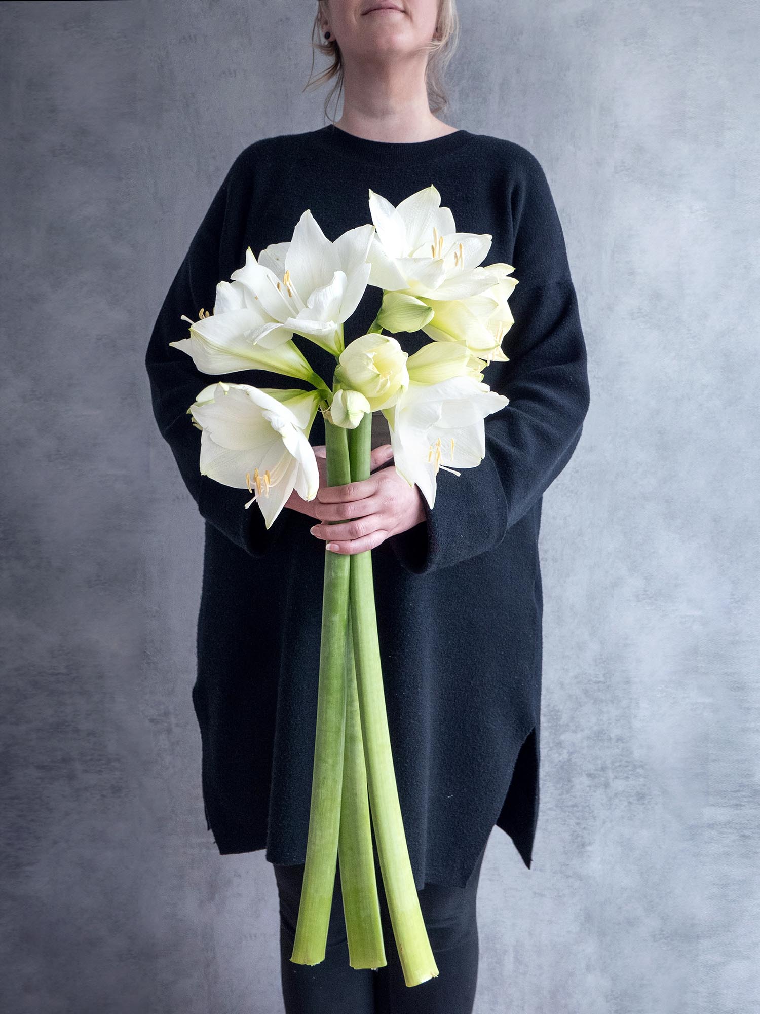 blumigo-amaryllis-mont-blanc-wei-schnittblume image 3