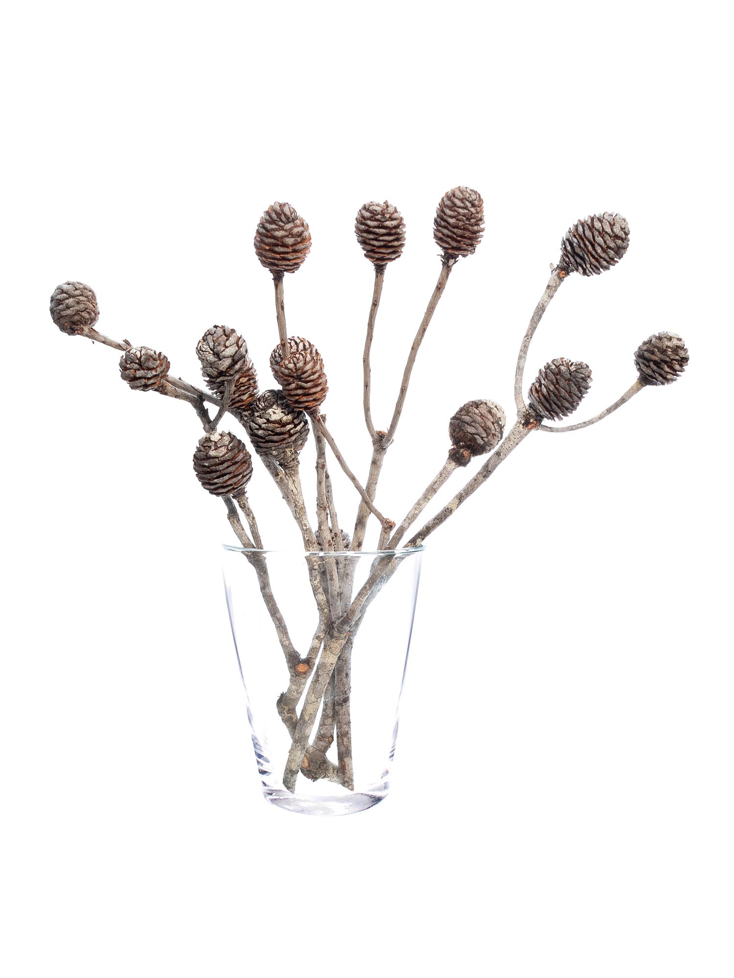 blumigo-herbstdeko-zweige-murii-mit-zapfen-braun-wei-deko image 2