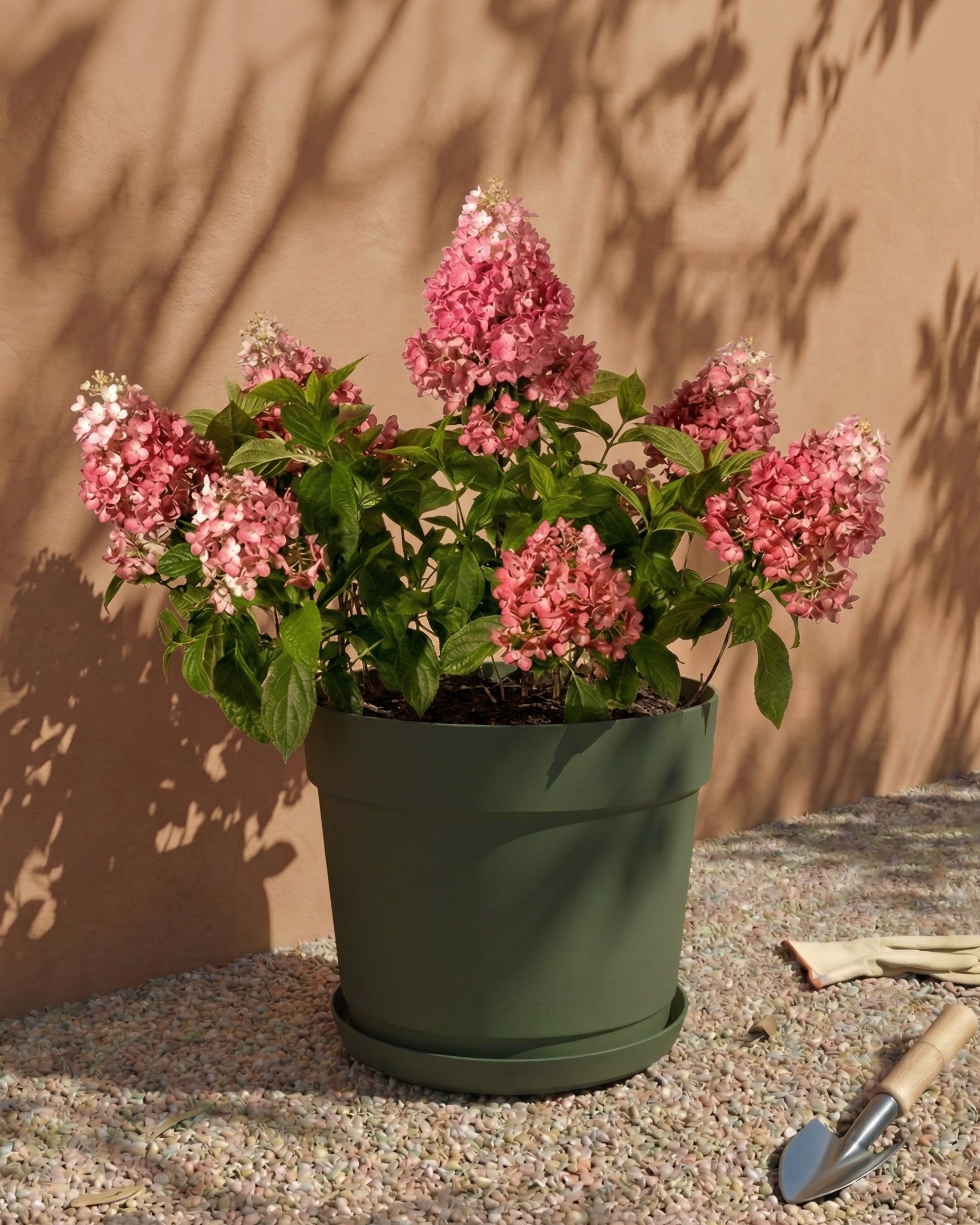 feey-bloom-pflanzk-bel-kunststoff-29cm-anthrazit-ohne-erde image 5