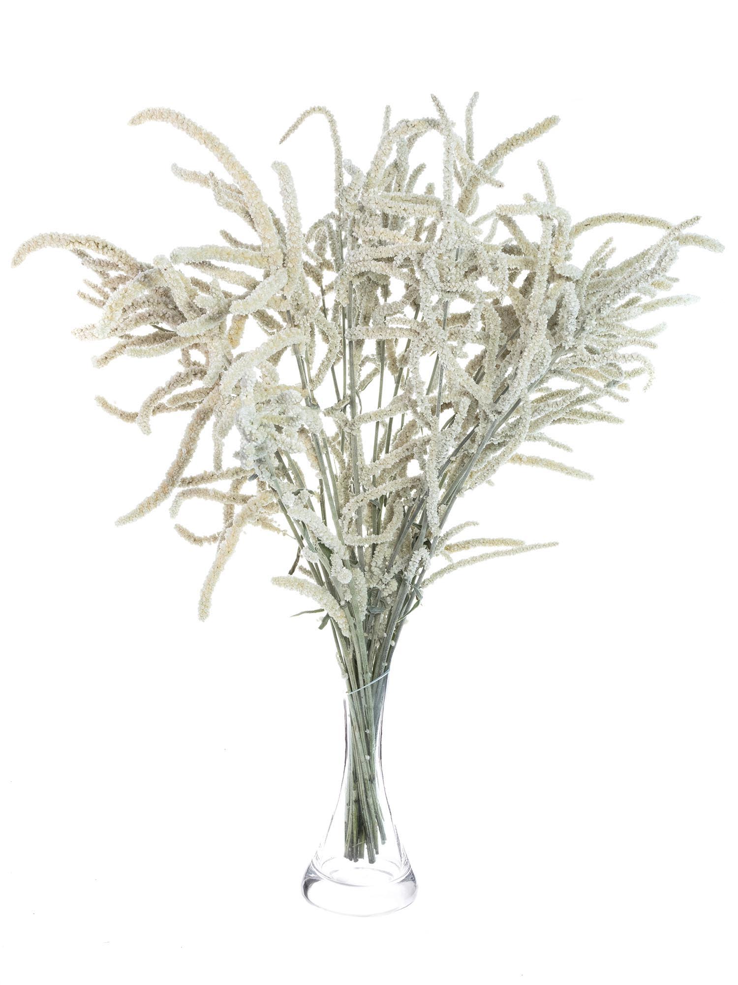 blumigo-bindegr-n-amaranthus-yearming-desert-wei-grau image 2