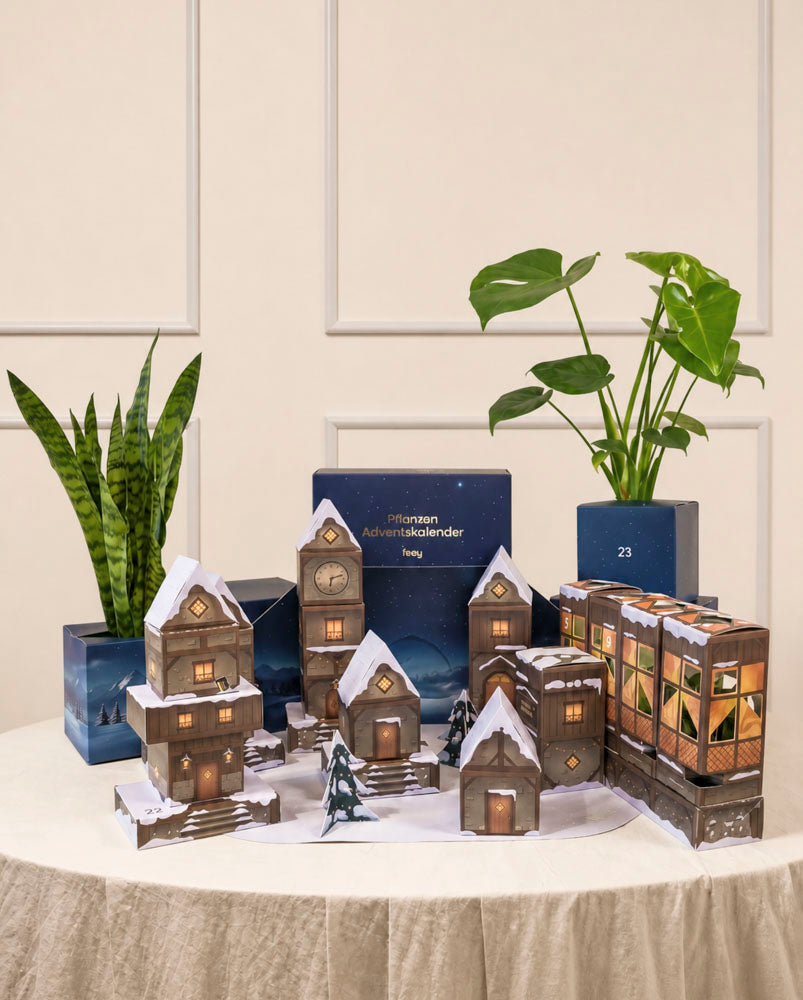feey-variado-adventskalender-winterdorf-zimmerpflanzen image 1