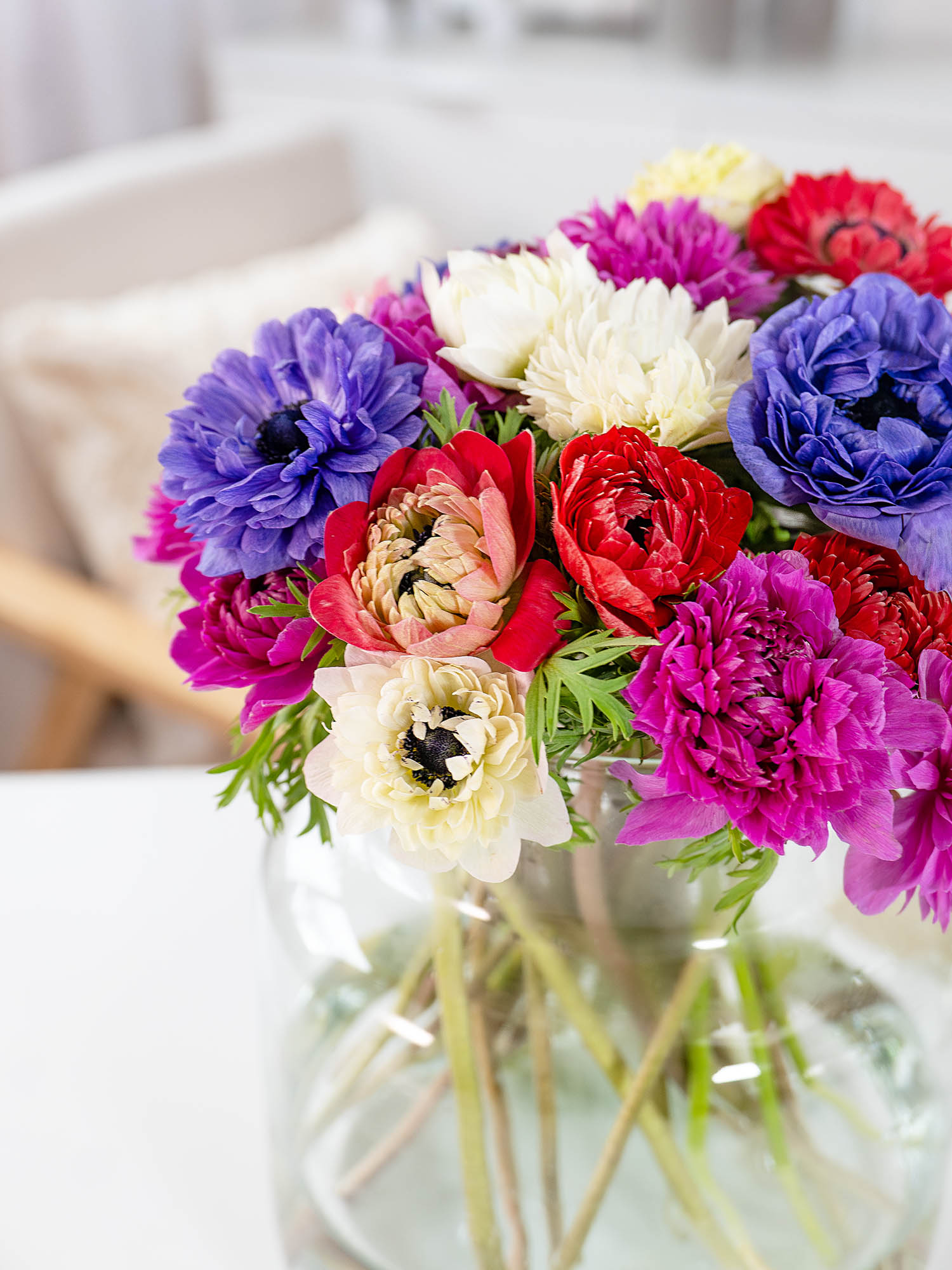 blumigo-anemonen-fullstar-mix-gemischt-schnittblumen-frisch image 2