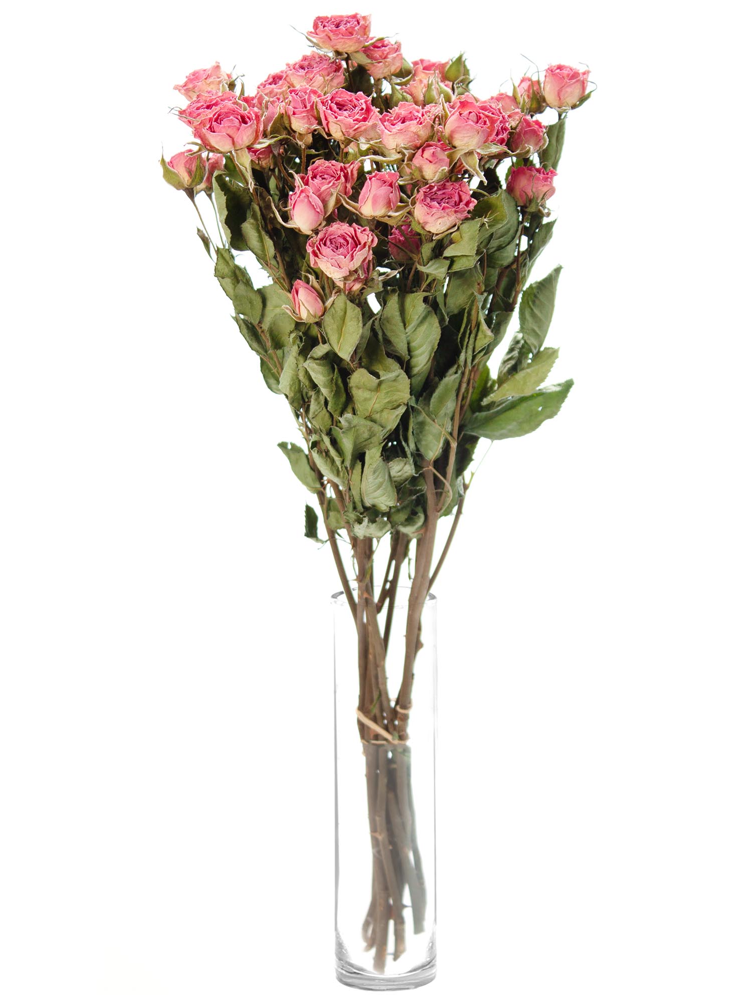 blumigo-trockenblumen-verzweigte-rosen-rosa-pink-getrocknet image 2