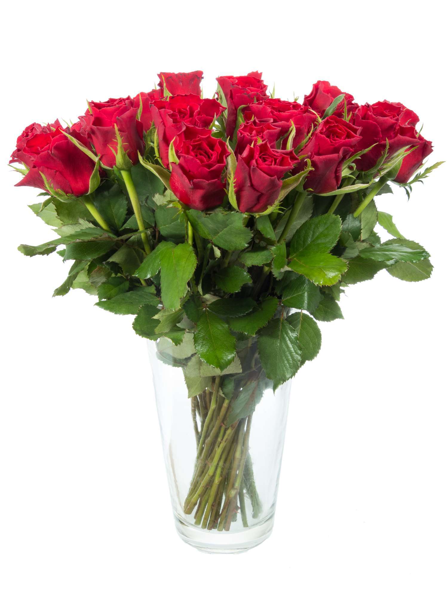 blumigo-rosen-50-rote-rosen-bund-frische-schnittblumen image 2