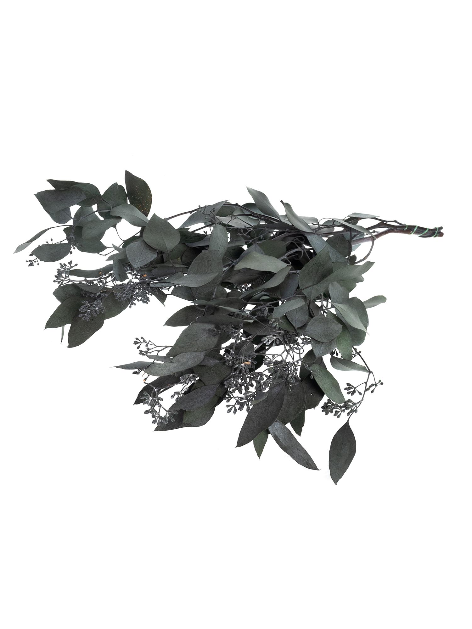 blumigo-populus-eukalyptus-m-beeren-gr-n-konserviert image 3