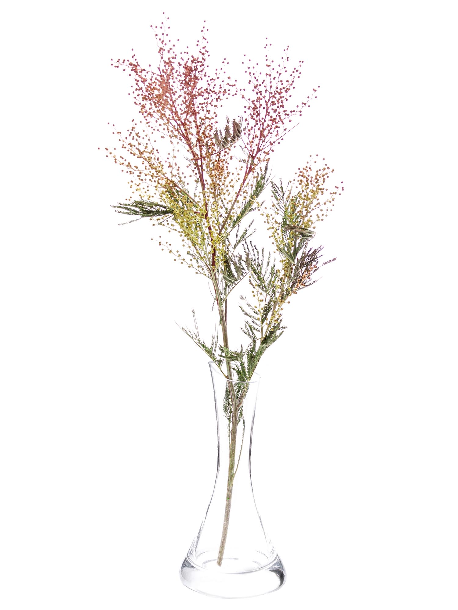 blumigo-mimose-rot-gesogen-greenery-bund-frisch image 3