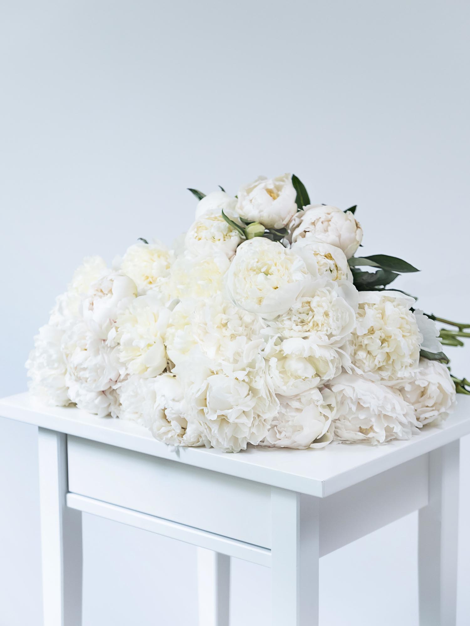 blumigo-pfingstrosen-bowl-of-cream-schnittblumen-creme-wei image 3