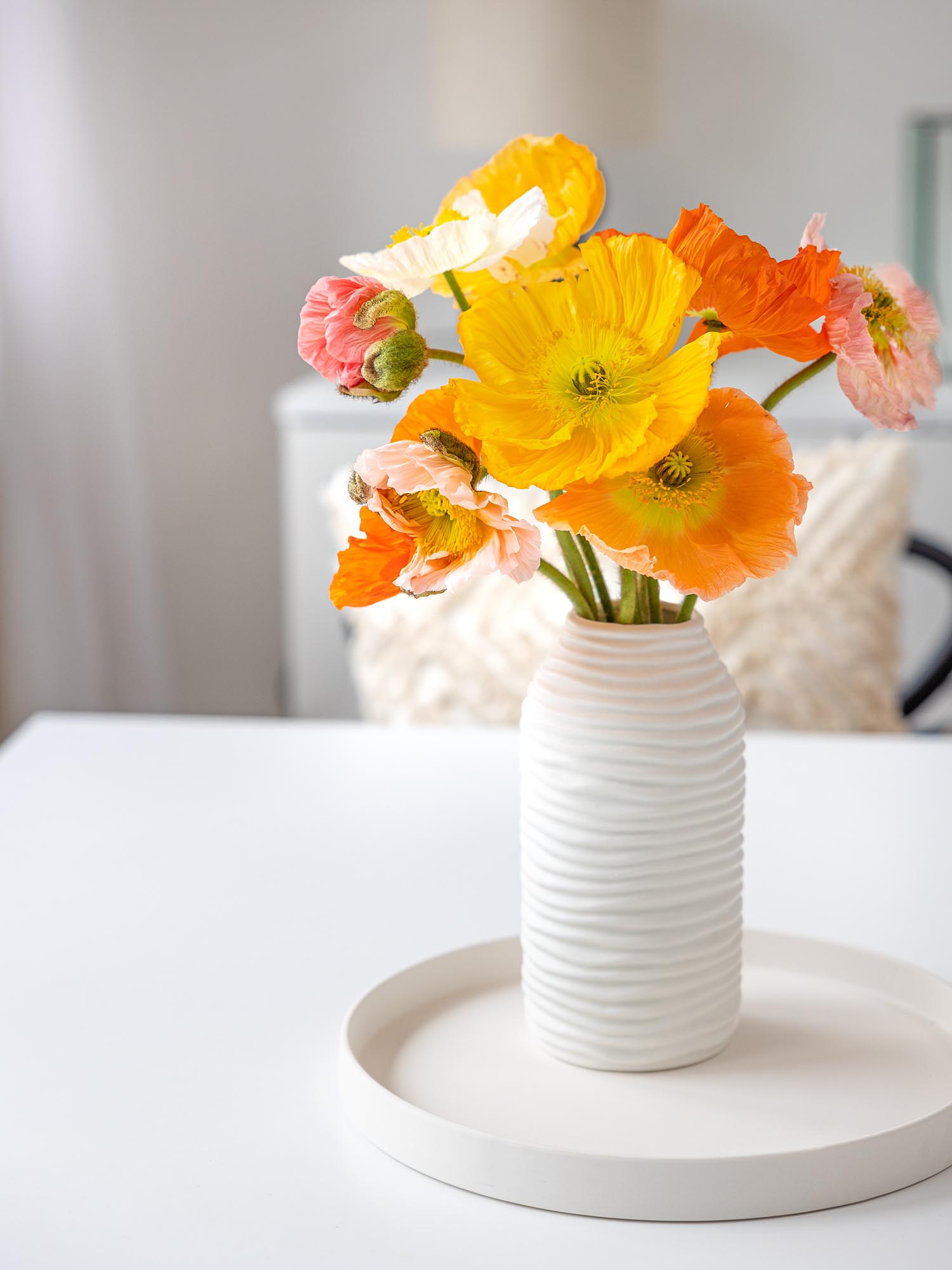 blumigo-herbstdeko-papaver-mohnblumen-bunte-mischung image 3