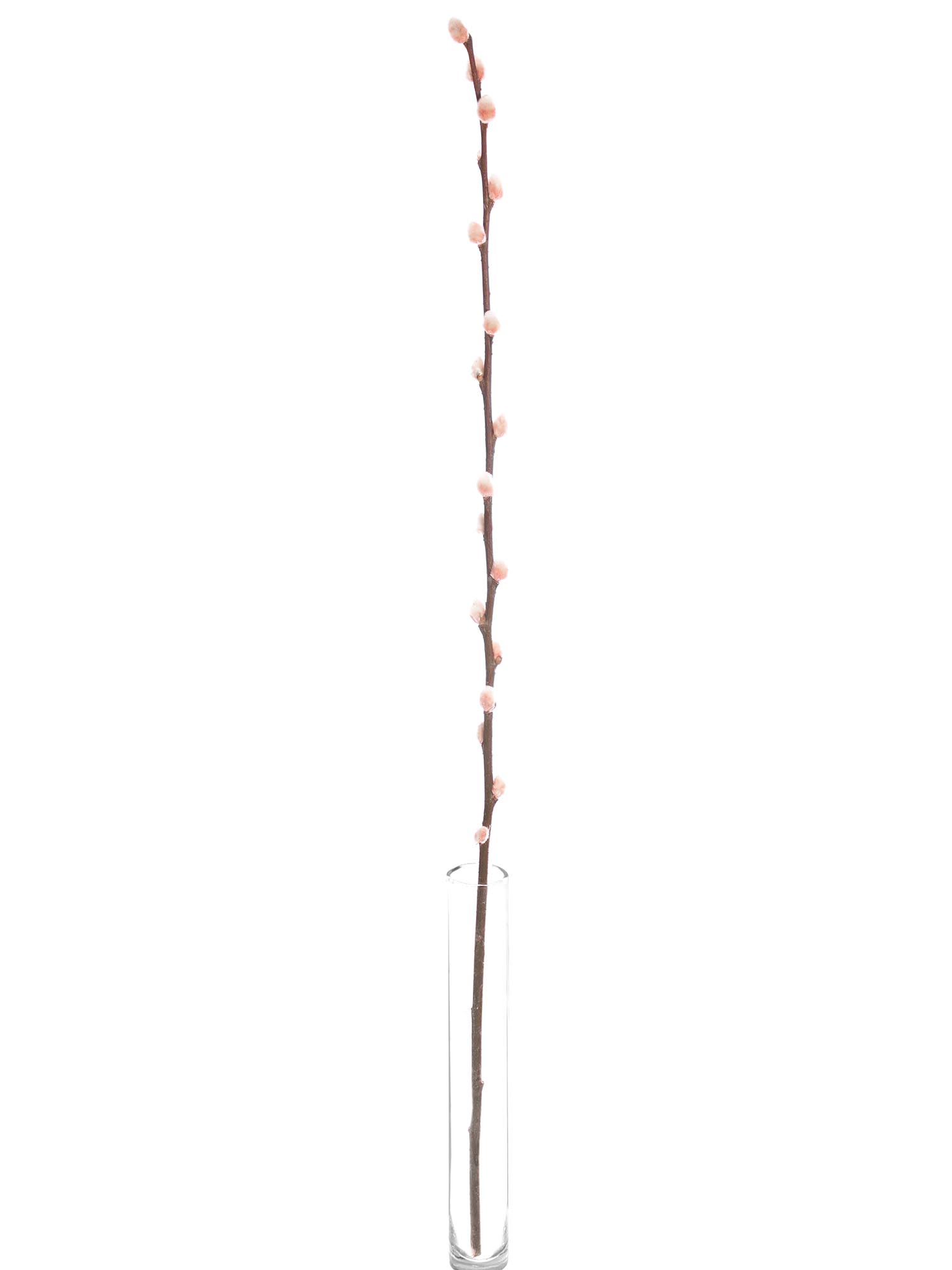 blumigo-zweige-weidenk-tzchen-gef-rbt-rosa-zweigbund image 4
