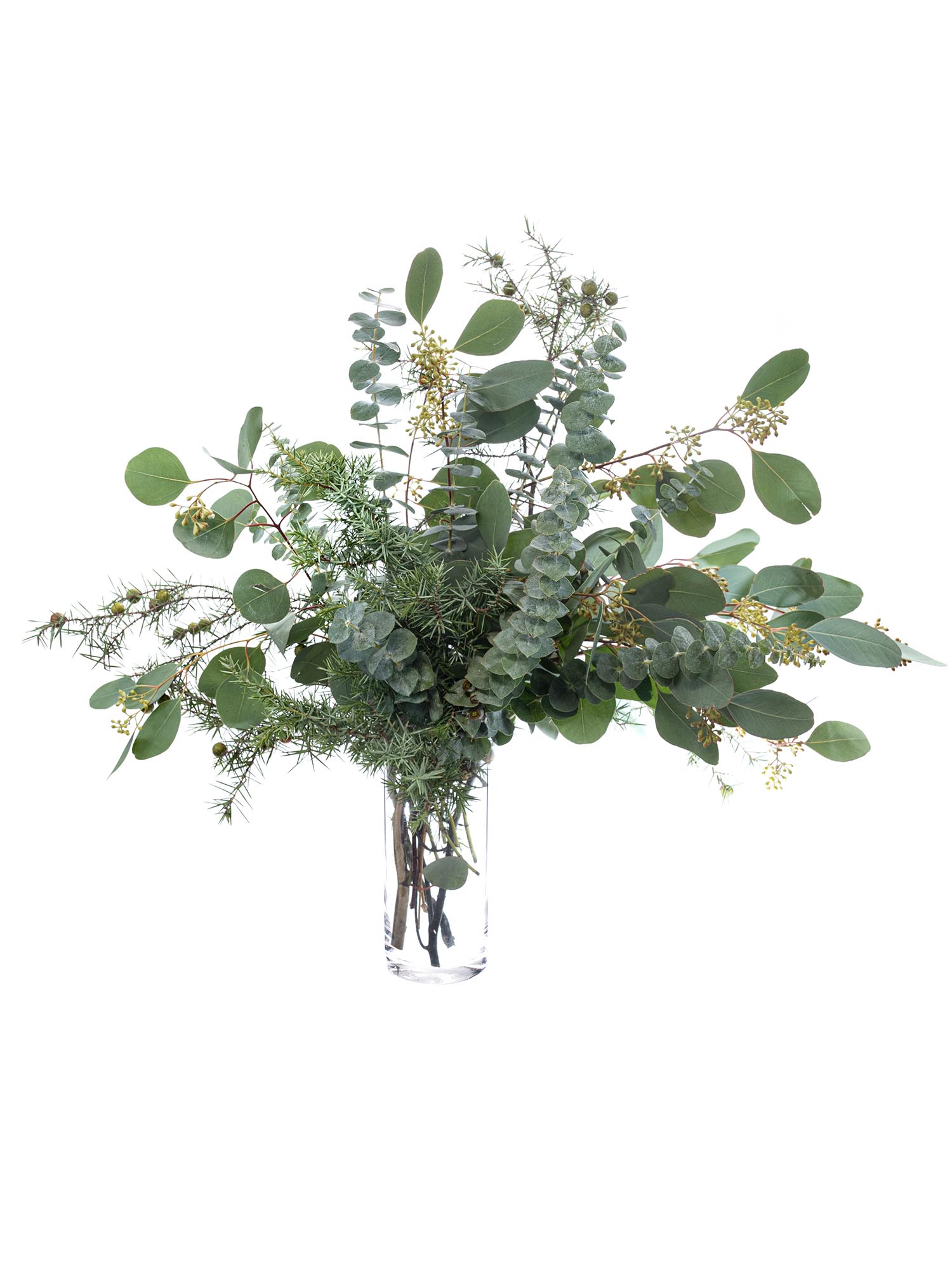 blumigo-eukalyptus-wacholder-mix-greenery-bund image 6