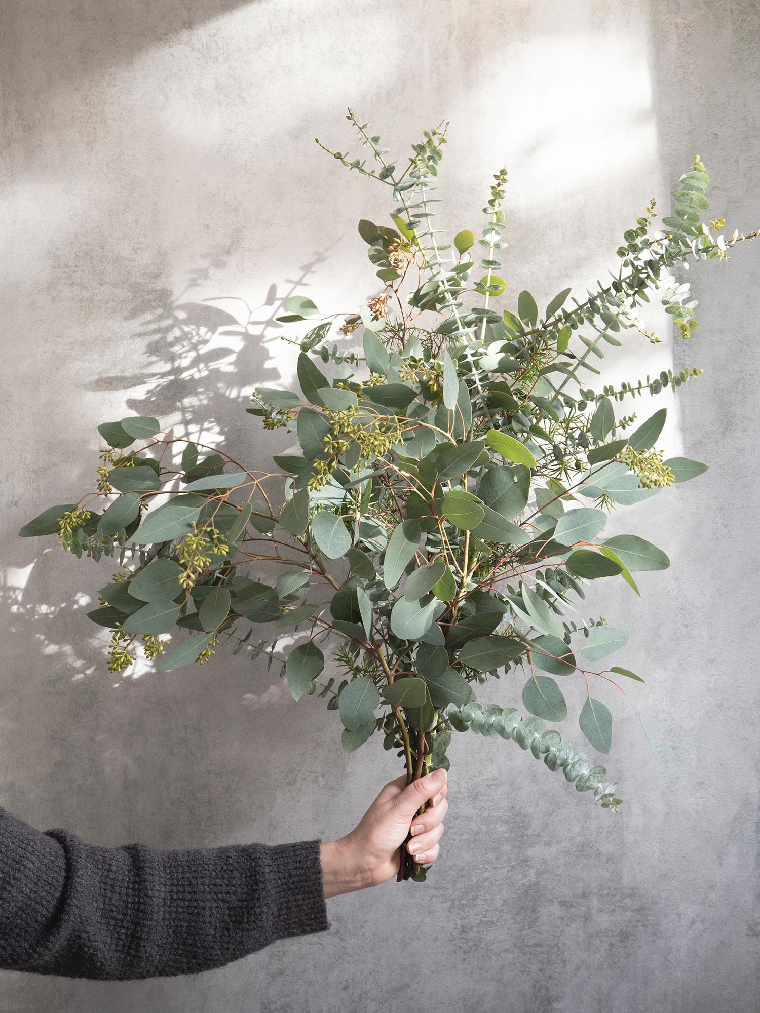 blumigo-eukalyptus-wacholder-mix-greenery-bund image 3