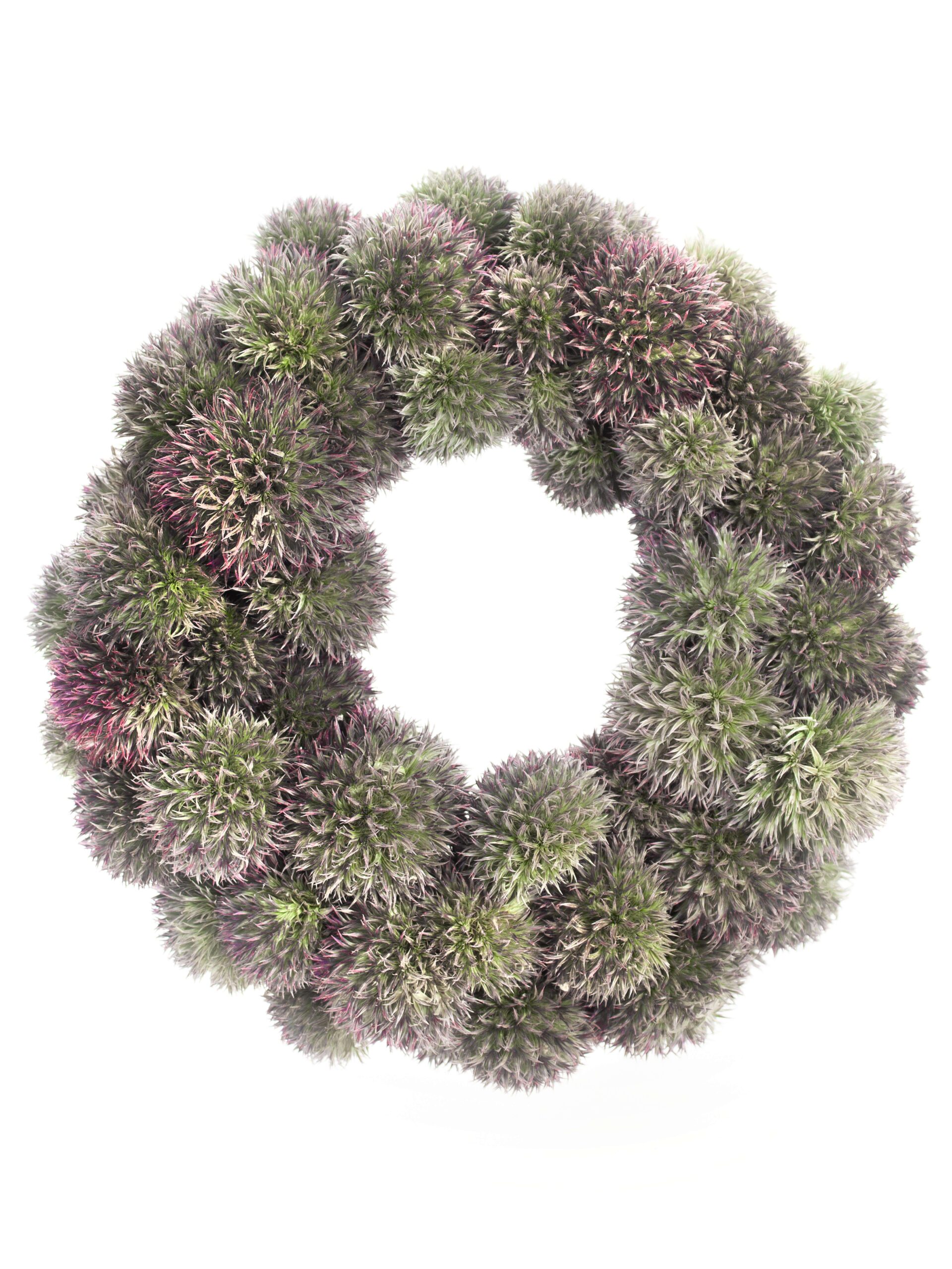 blumigo-disteln-kugeldistel-kranz-23-cm-trockenkranz-blau image 2