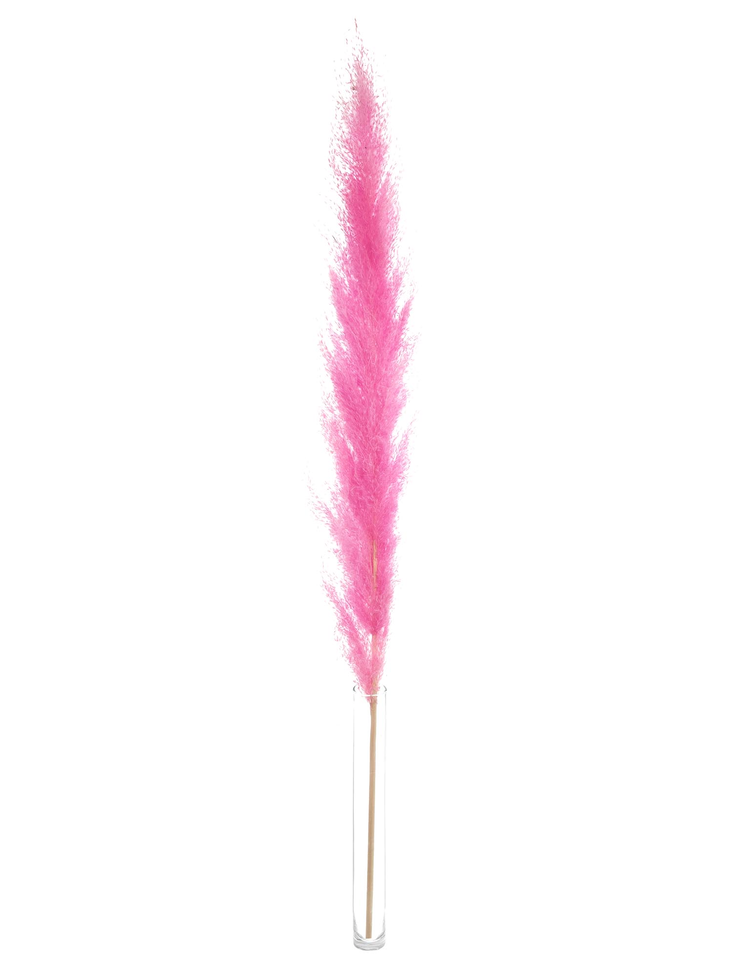 blumigo-pampasgras-getrocknet-pink-deko-wedel image 3