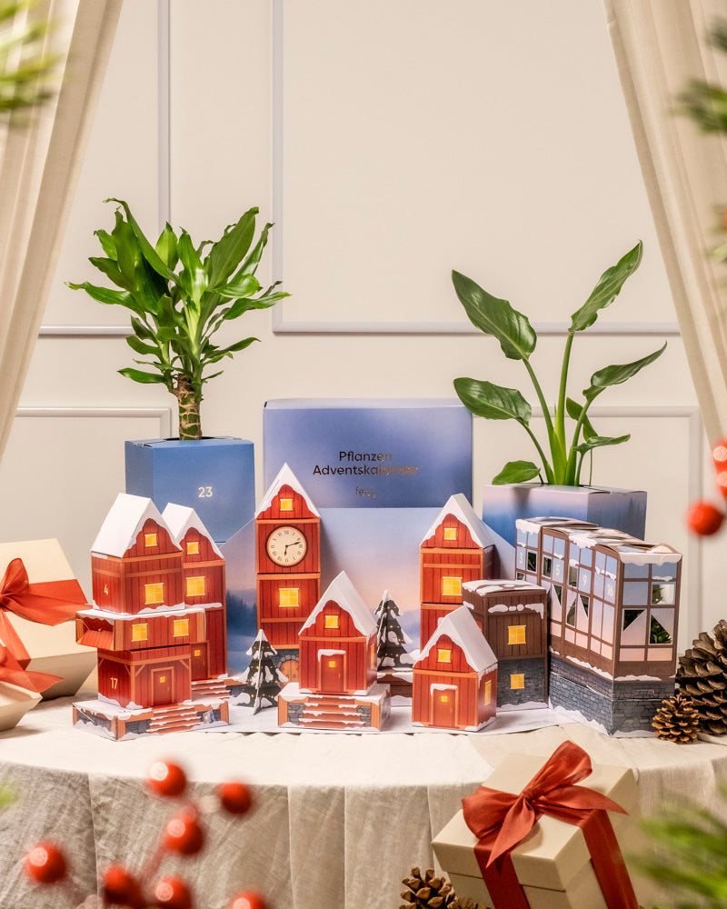 feey-variado-pflanzen-adventskalender-winterdorf-im-morgenrot-24-t-rchen image 4