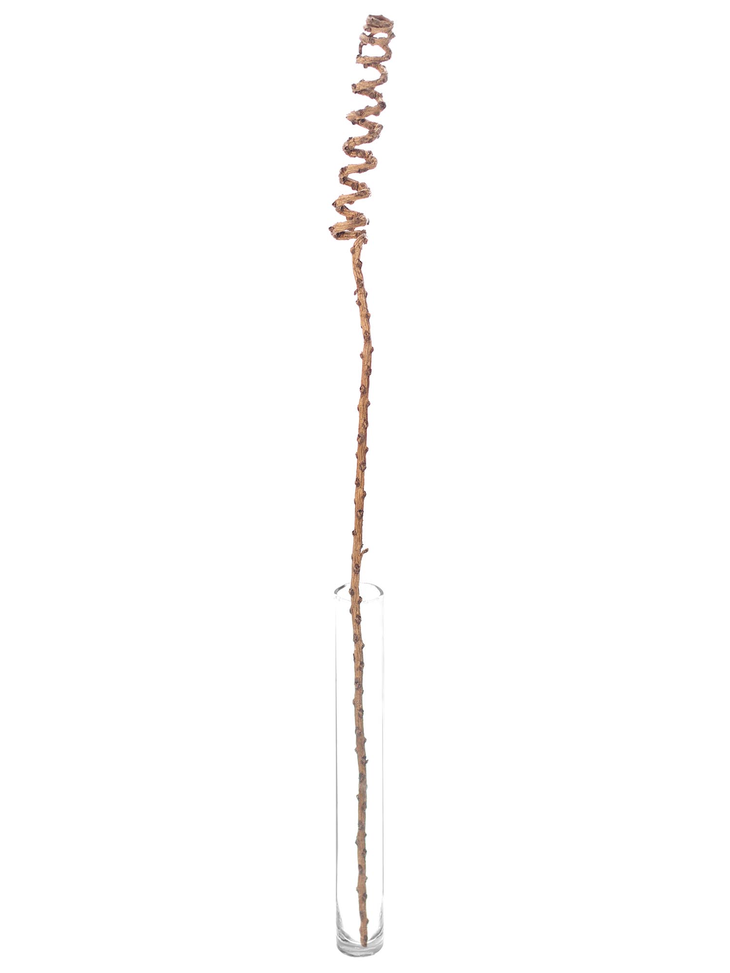 blumigo-trockenblumen-tail-spring-rohrkegel-trockendeko-natur-braun image 3