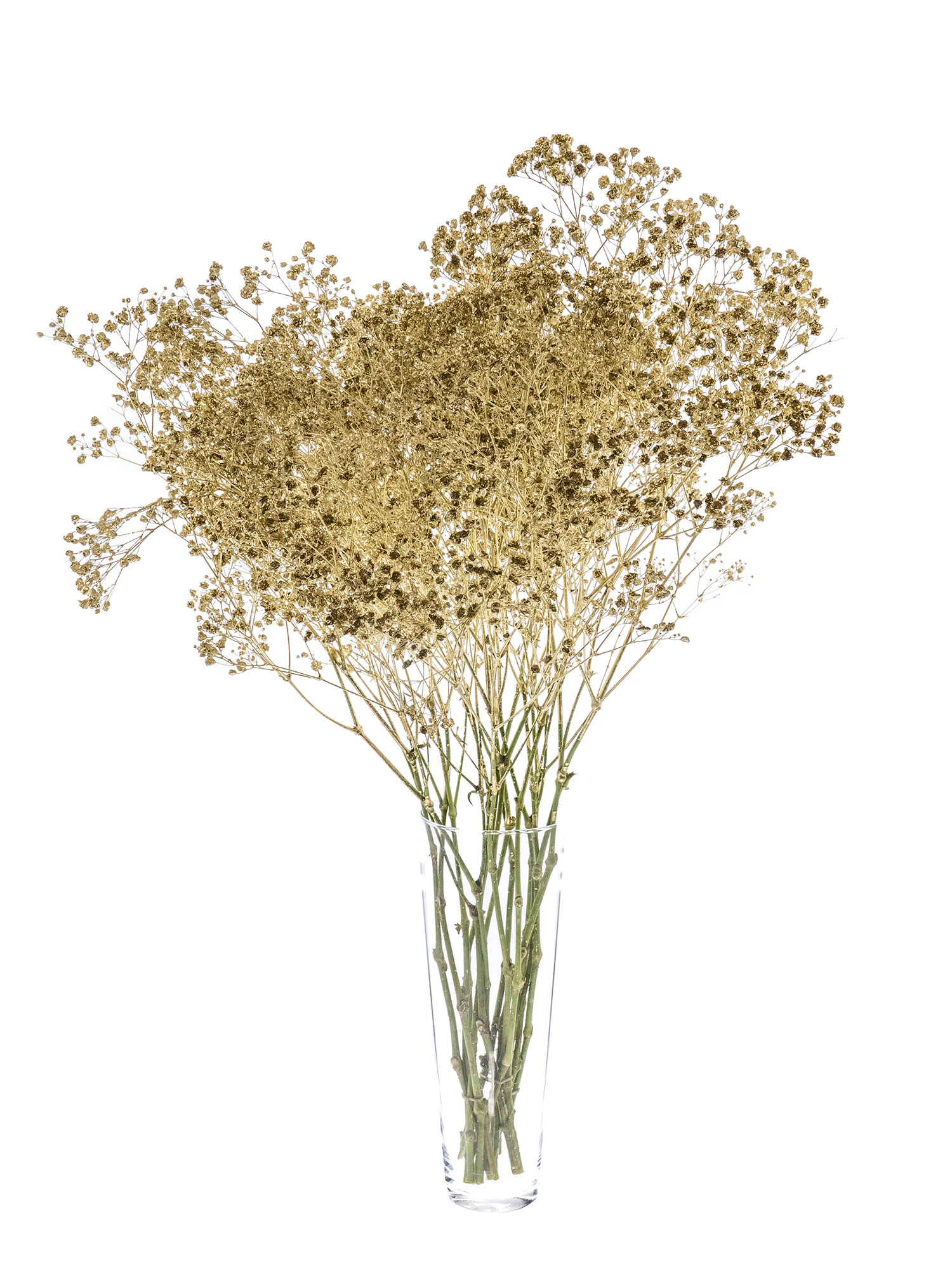 blumigo-schleierkraut-painted-trockenblumen-gold image 2