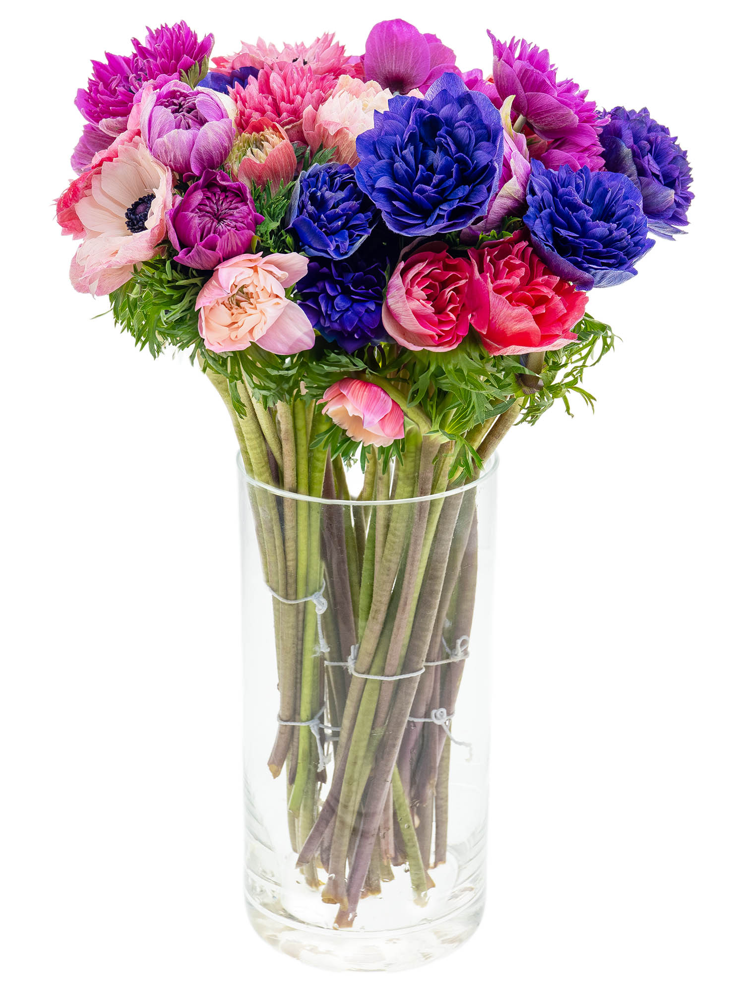 blumigo-anemonen-fullstar-mix-gemischt-schnittblumen-frisch image 5
