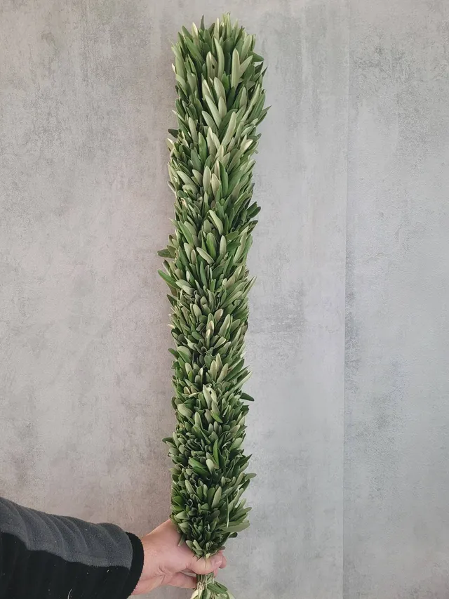 blumigo-exklusives-greenery-zierleiste-olivengr-n-80-cm image 1