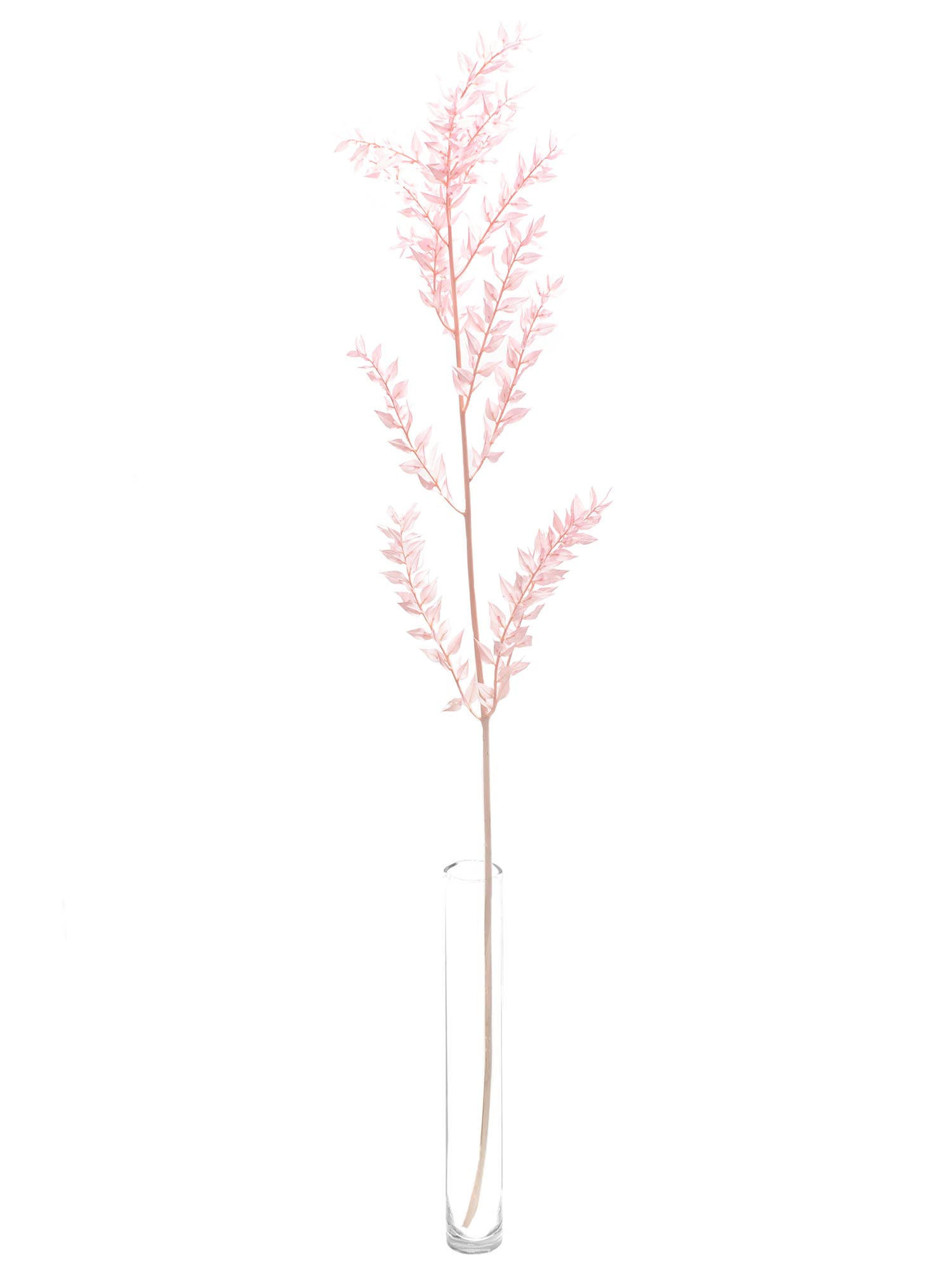 blumigo-trockenblumen-ruscus-m-usedorn-trockendeko-rosa-gef-rbt image 3