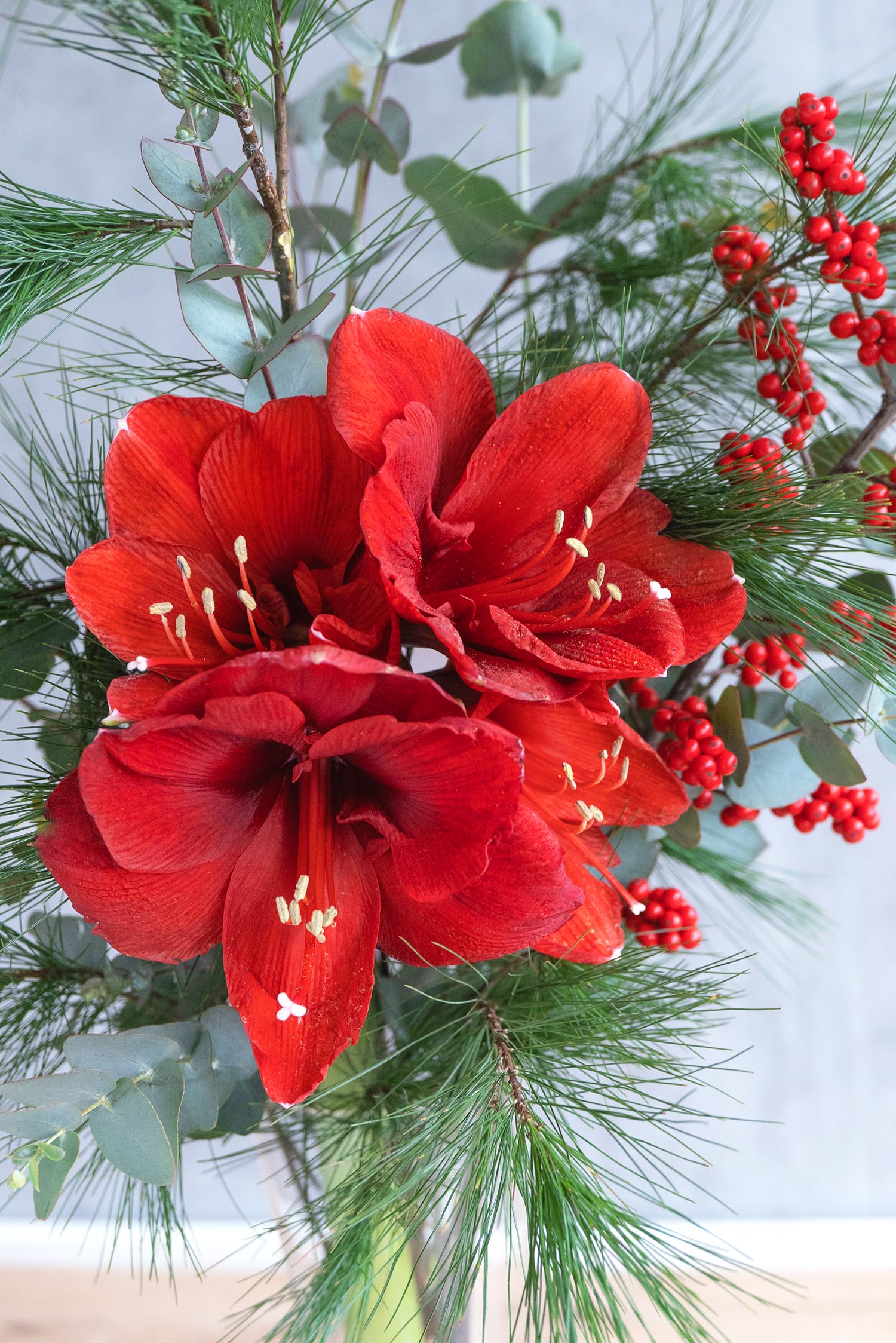 blumigo-berraschungsmixe-velvet-christmas-bouquet-strau image 3