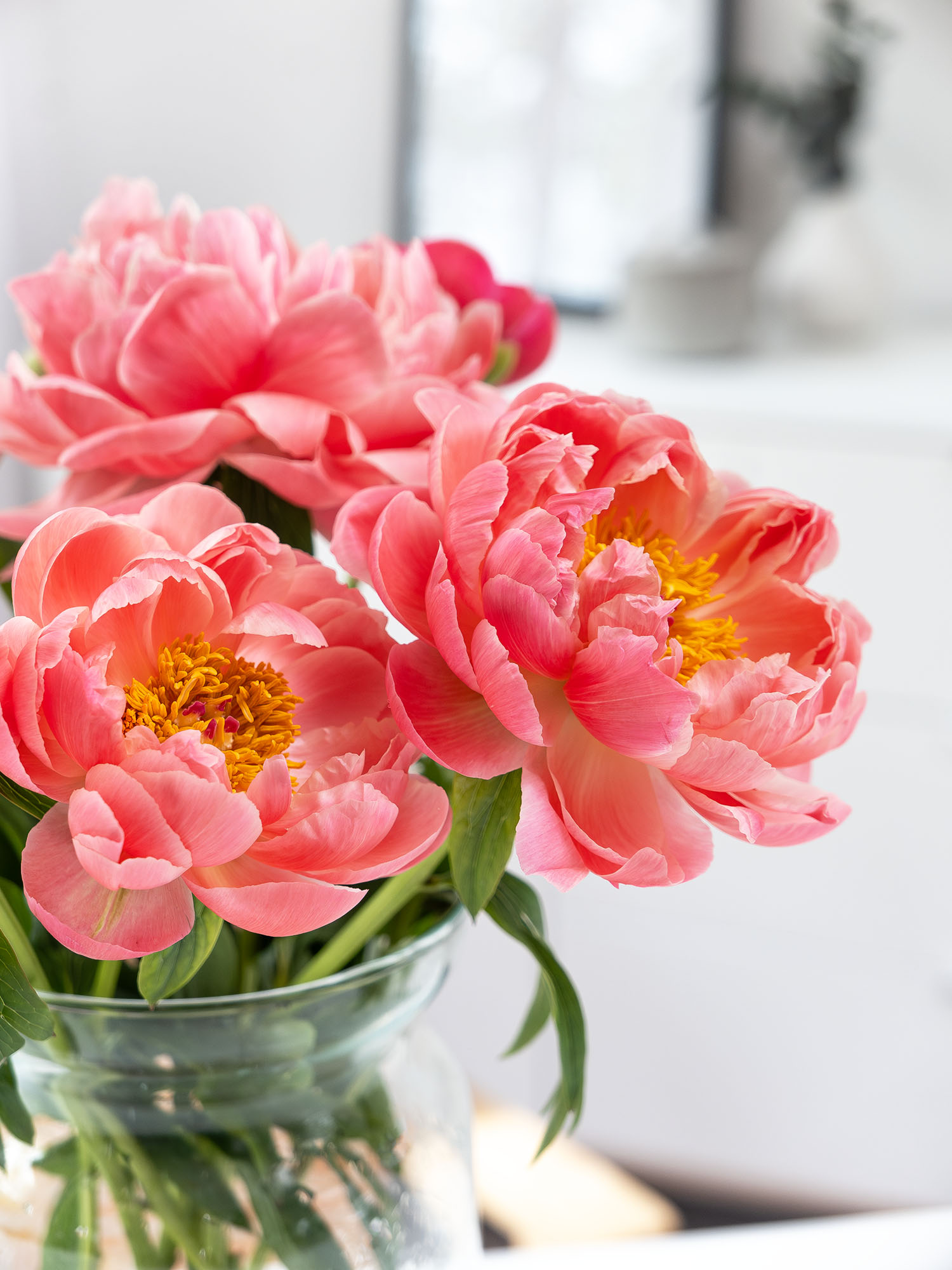 blumigo-pfingstrosen-coral-sunset-schnittblume-pink-creme image 3