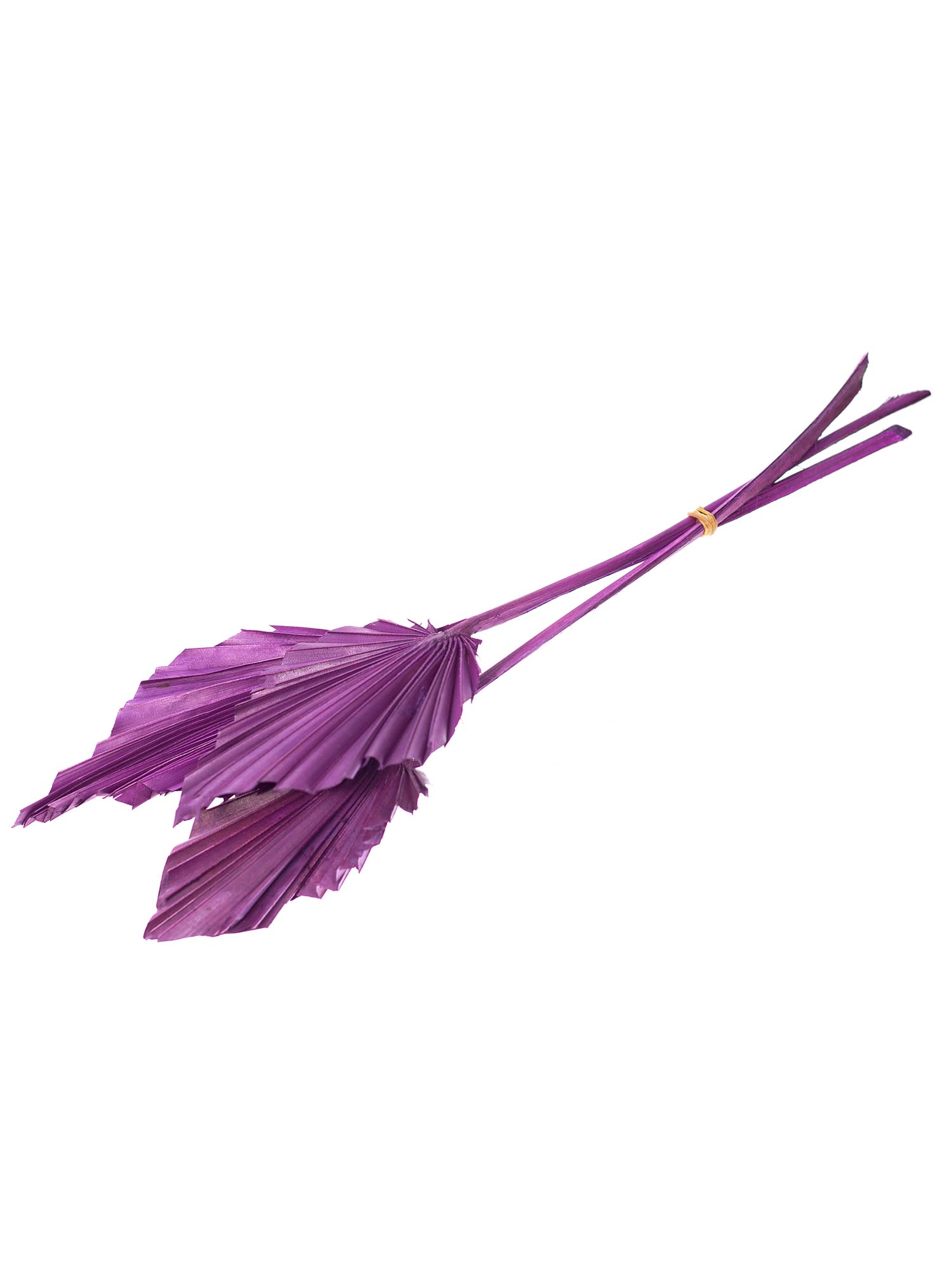 blumigo-trockenblumen-palm-spear-deko-violett-gef-rbt image 4