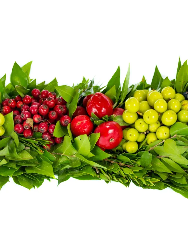 blumigo-herbstdeko-zierfruchtleiste-90-cm-herbstlich image 1