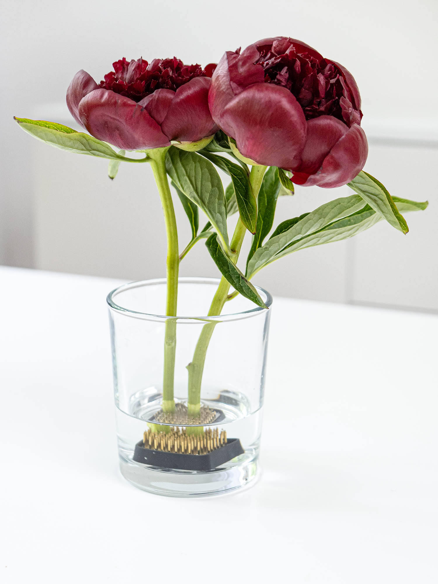 blumigo-steckigel-flower-frog-eckig-steckhilfe image 2
