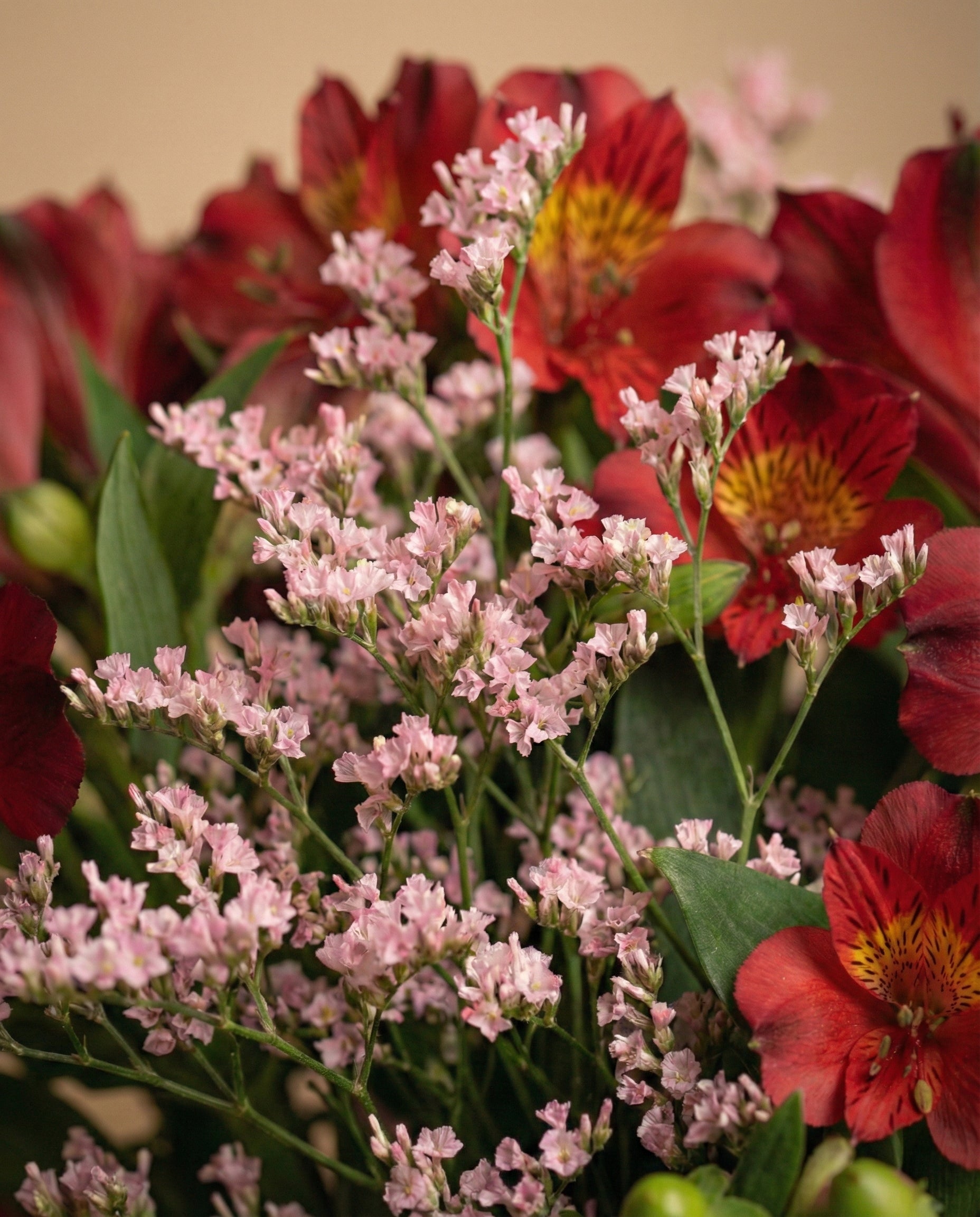 feey-rilio-abendrot-blumenstrauss-ungebunden-alstroemeria image 6