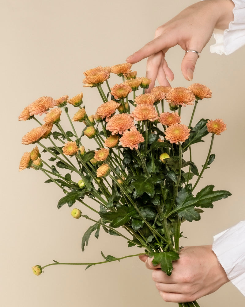 feey-rilio-chrysanthemen-pfirsich-blumenstrau image 1