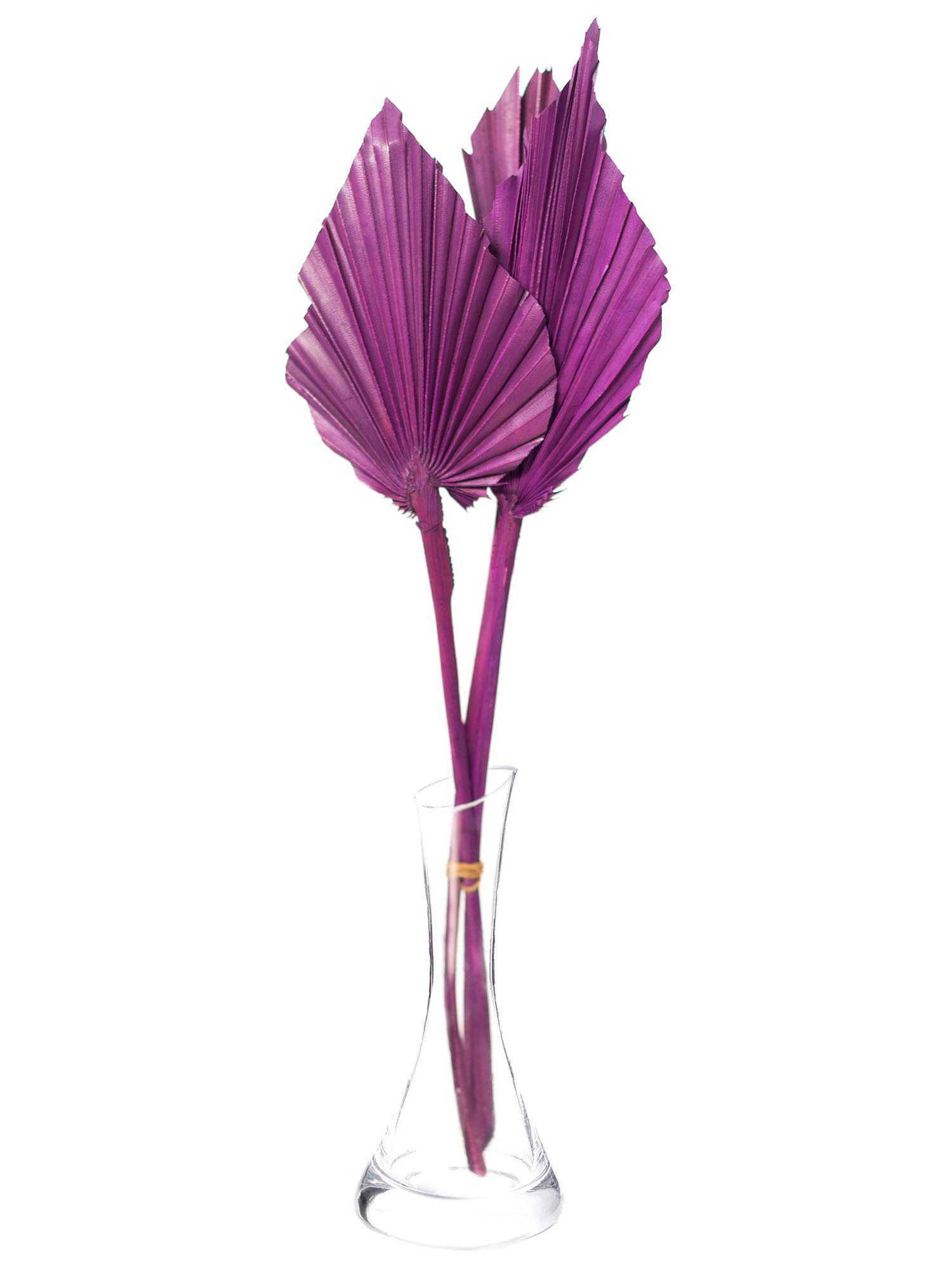 blumigo-trockenblumen-palm-spear-deko-violett-gef-rbt image 2