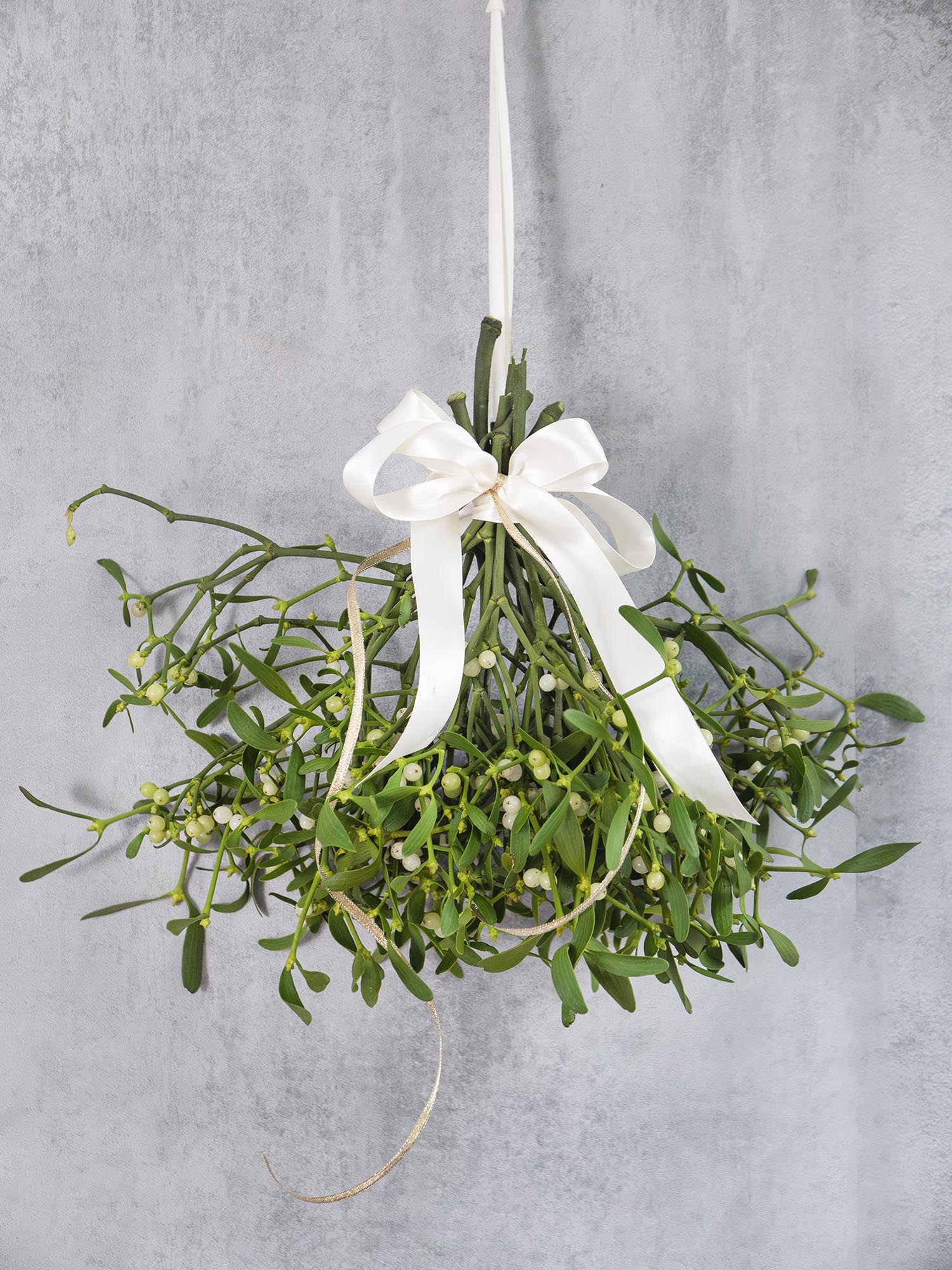 blumigo-misteln-viscum-album-adventsdeko-zweig image 2