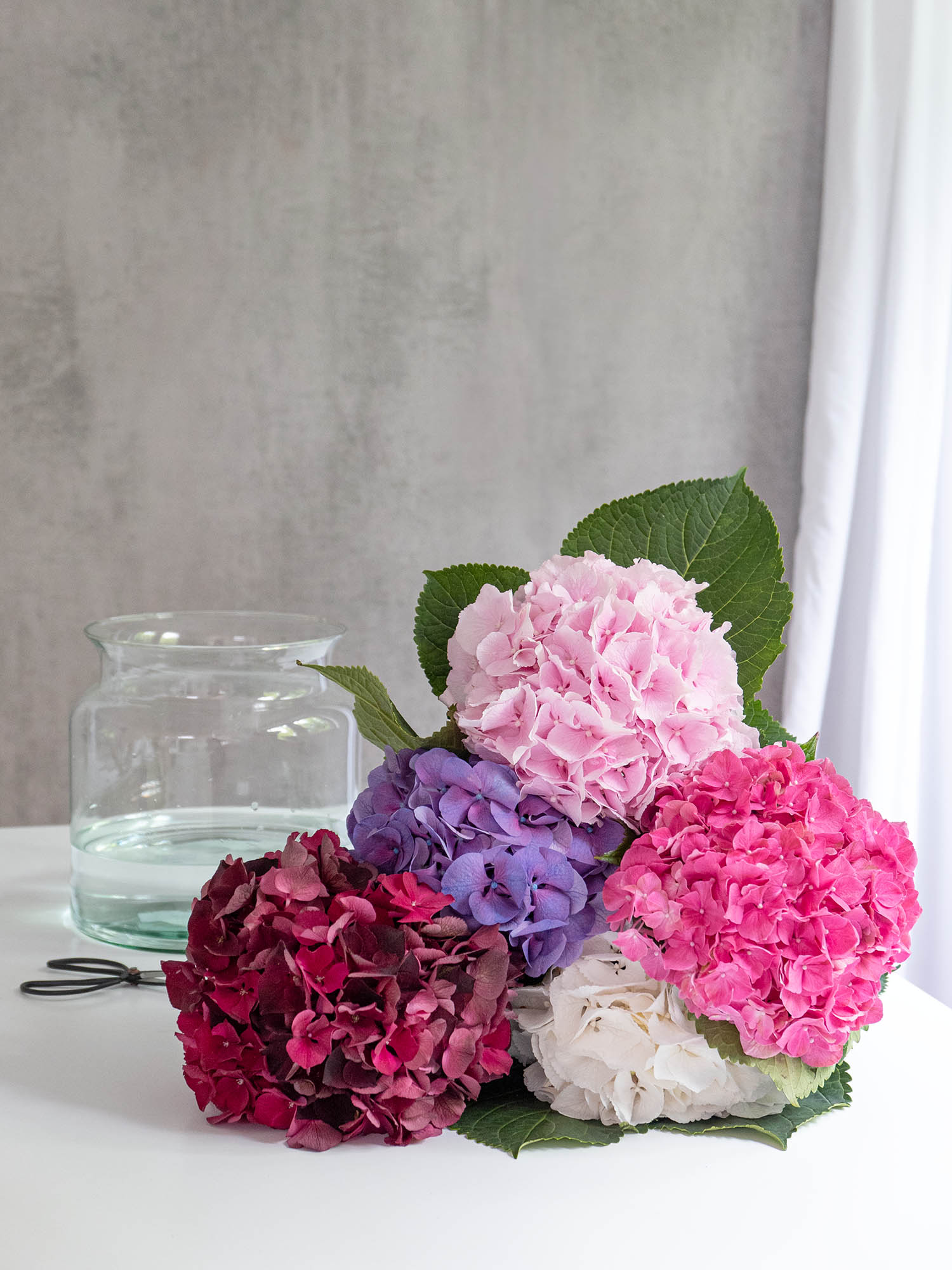 blumigo-berraschungsmix-5-hortensien-frisch image 3
