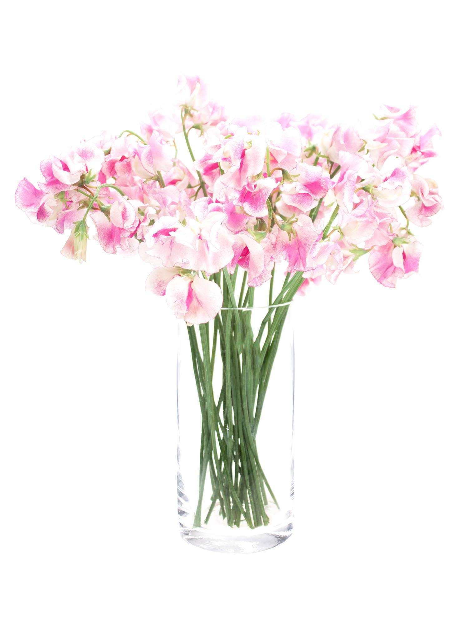 blumigo-rosen-wicken-wedding-rose-schnittblume-pink-wei image 2