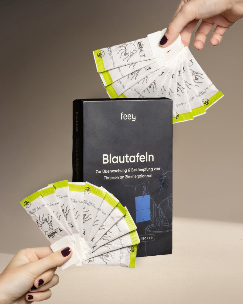 feey-lumi-bek-mpfungsset-gegen-thripse-raubmilben-6-beutel image 4