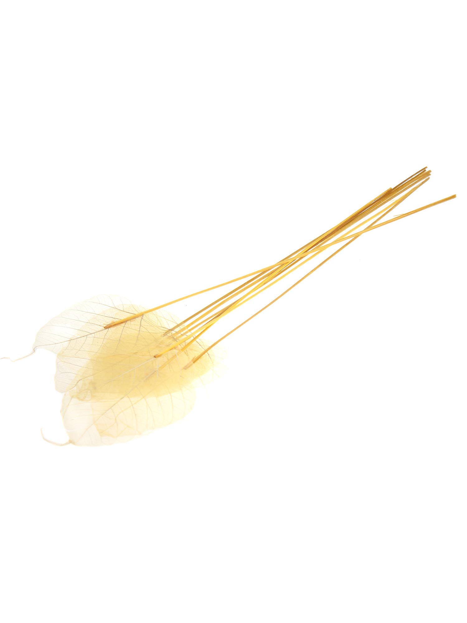 blumigo-trockenblumen-skelettbl-tter-trockenblume-gelb image 3