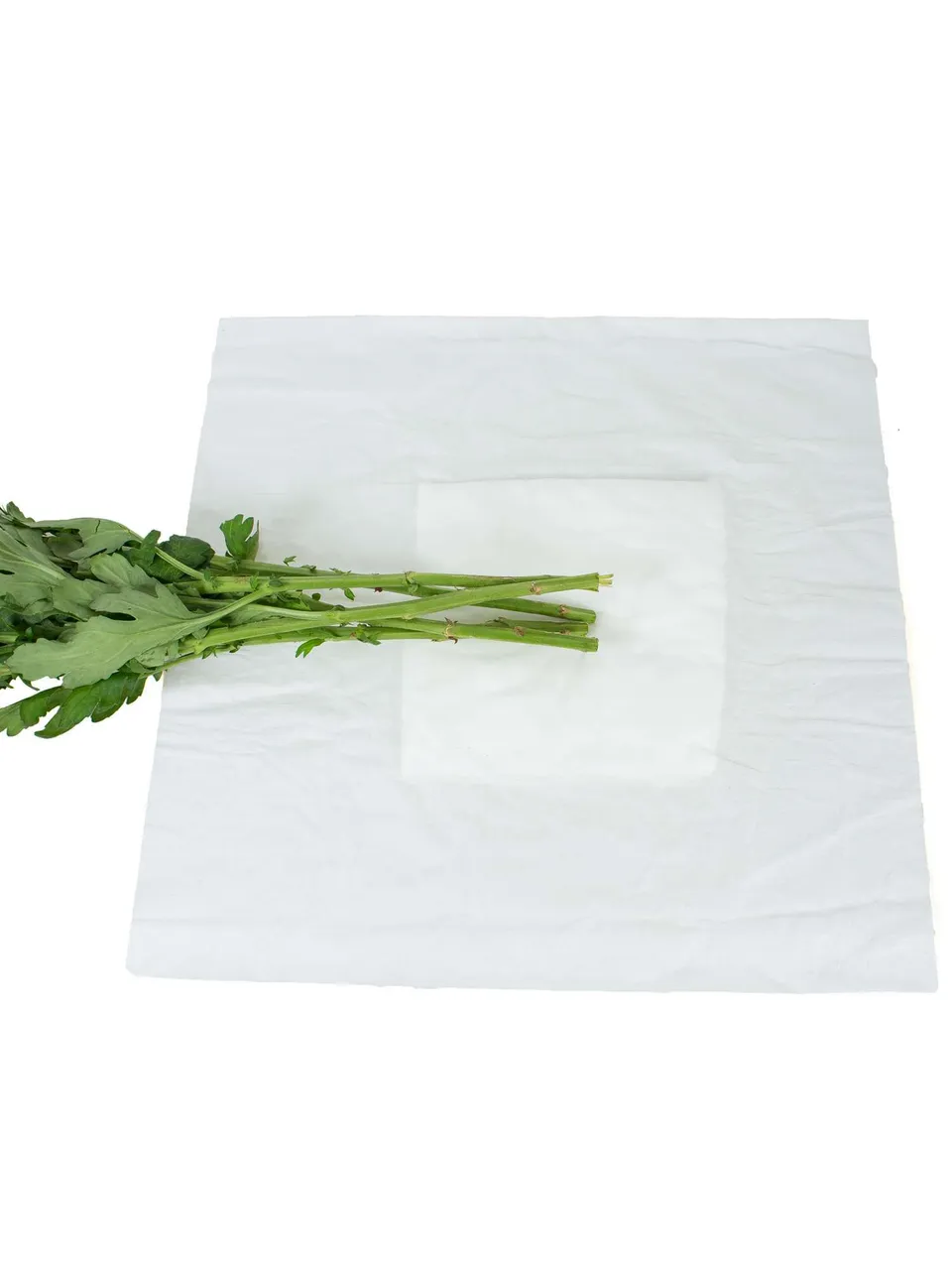 blumigo-freshbags-blumentransport-beutel-5-st-ck image 1