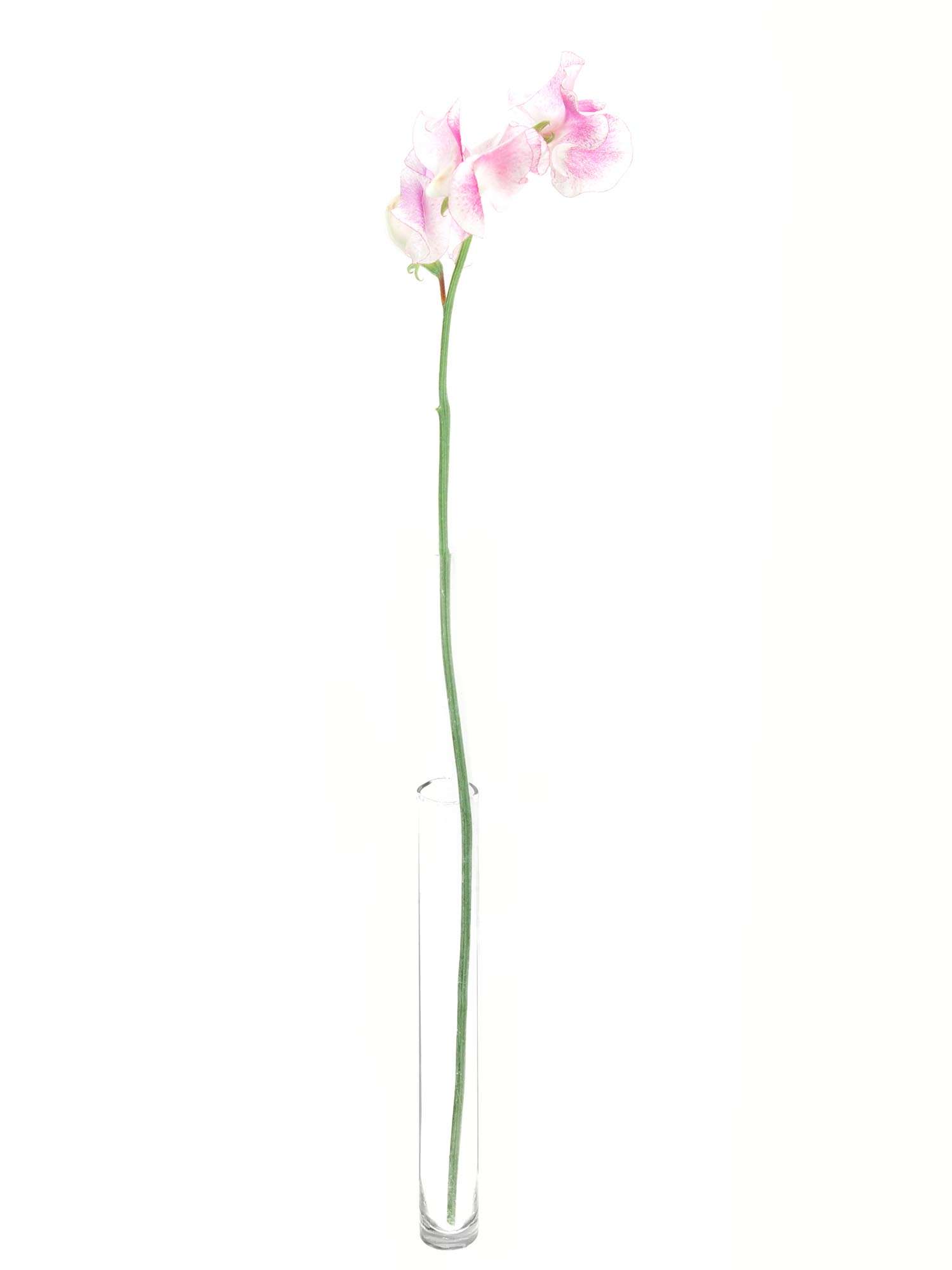blumigo-rosen-wicken-wedding-rose-schnittblume-pink-wei image 3