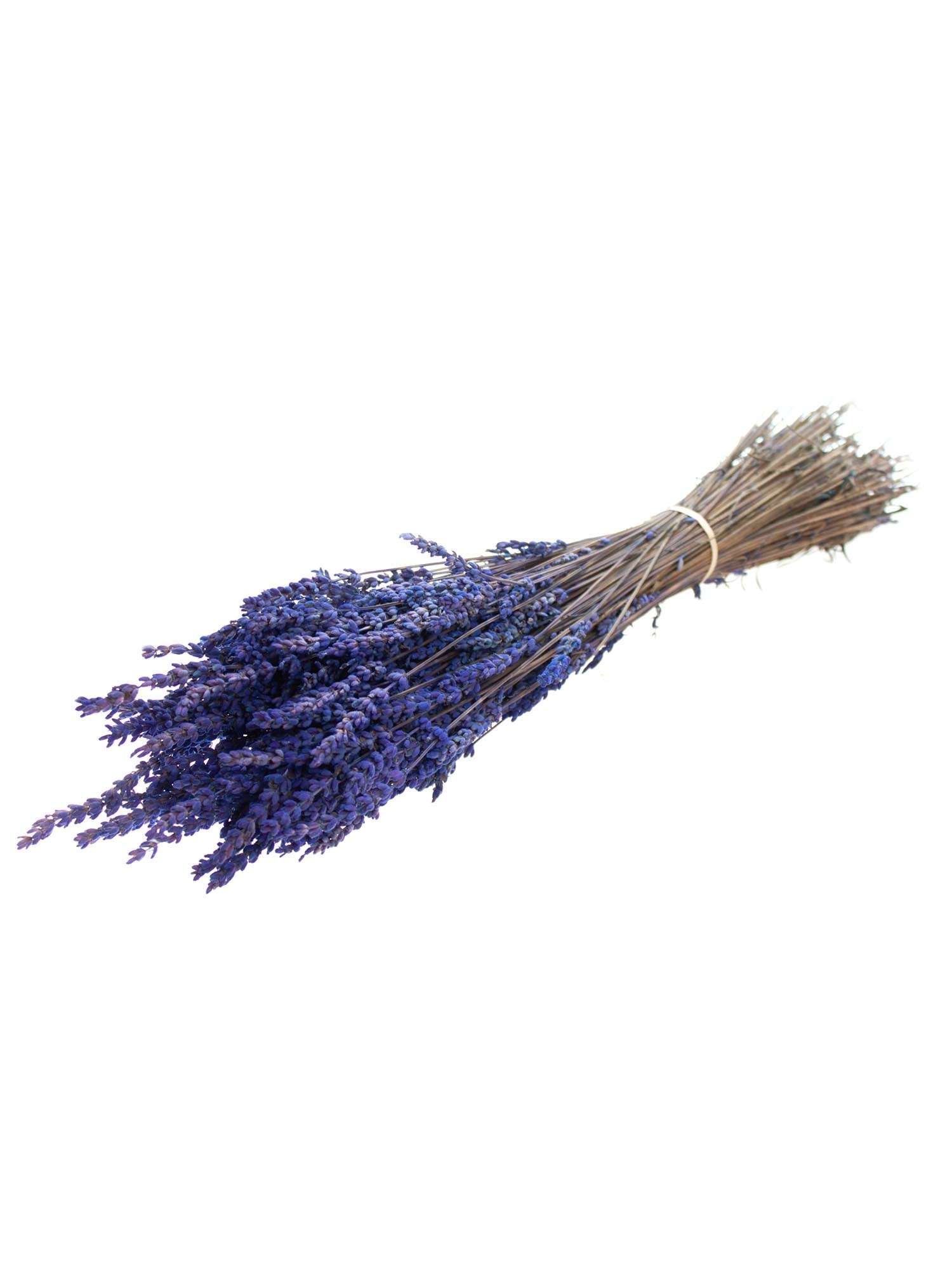 blumigo-trockenblumen-lavendel-trockenstrau-blau-duftend image 3