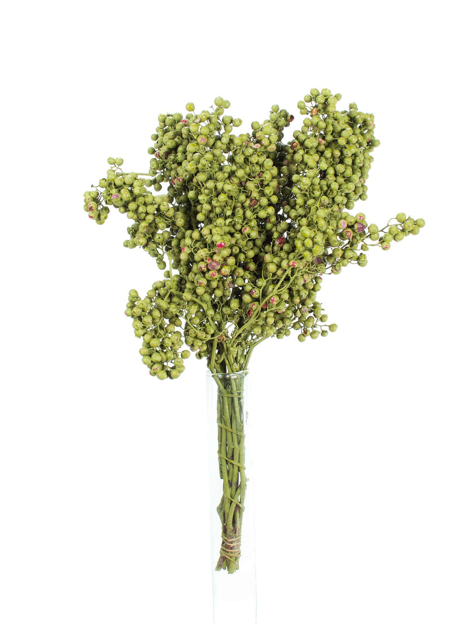 blumigo-pfefferbeeren-trockenblumen-gr-n-gef-rbt image 2